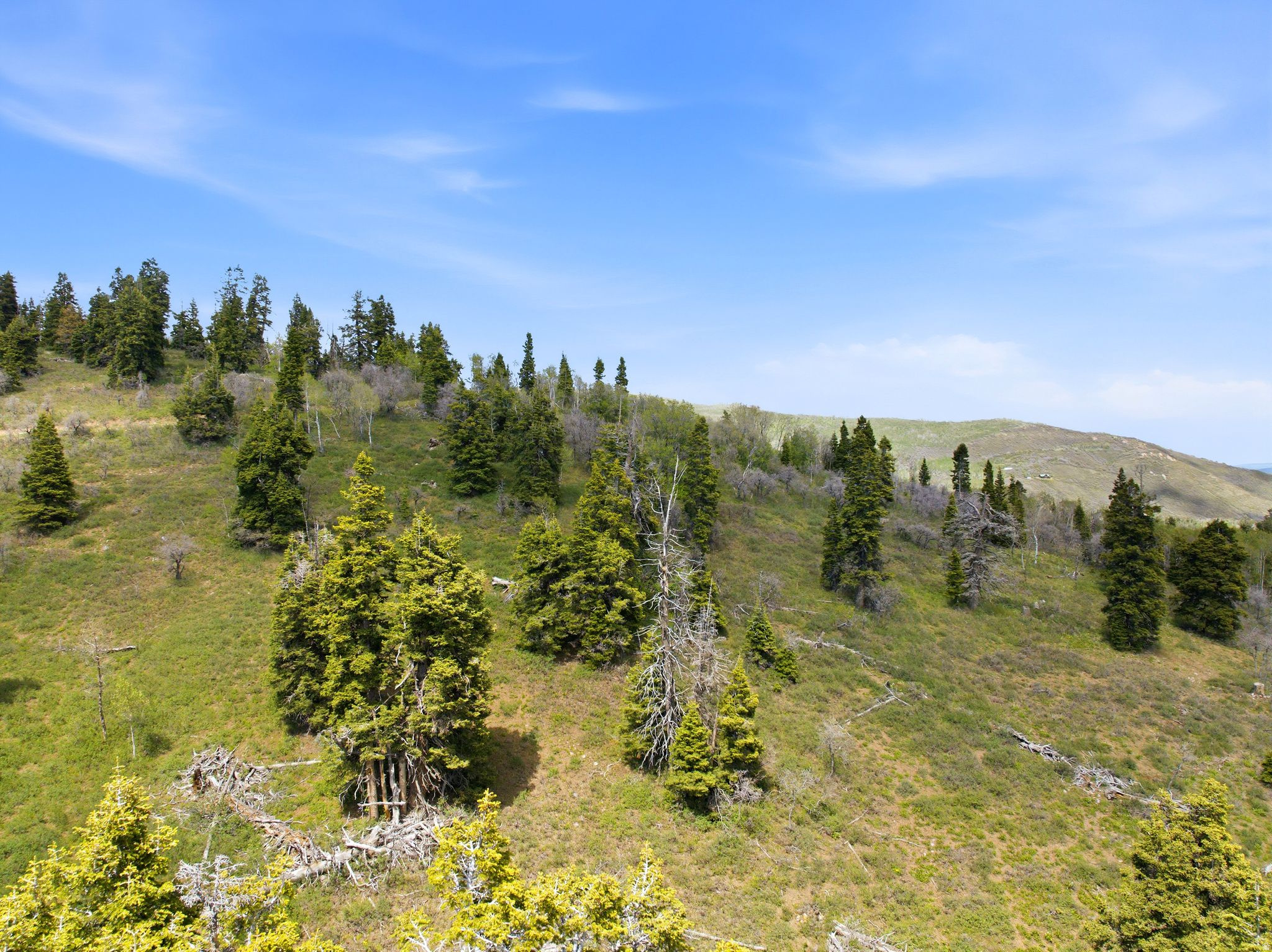 TOLLGATE - Land