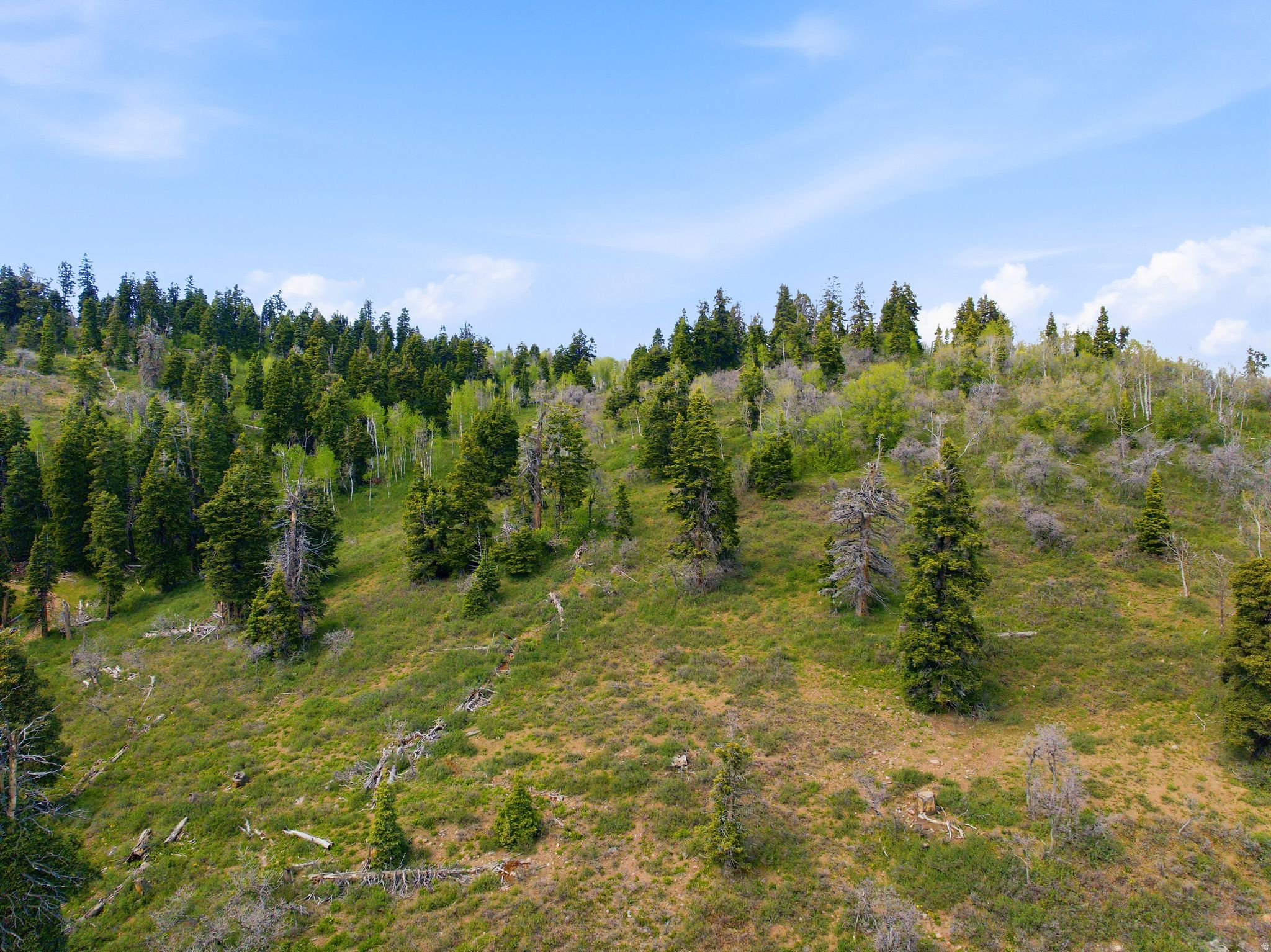 Live your dream life in the mountains! Located above the main subdivisions in Tollgate Canyon, this South-facing, private refuge is perfect for those seeking a unique homestead with incredible views!  Your sanctuary includes 15.82 acres of varied terrain with 270 degree mountain views, including mature aspen and pine trees, as well as a high mountain meadow that is perfect for horses.  Lot features a flat area ideal for constructing a cabin or home.   Breathe in the fresh mountain air as you experience the local wildlife including moose, deer, and elk as they meander through the meadows...Seller Improvements include Power and a well.  If you're ready to build your dream property in the mountains you won't want to miss this opportunity!