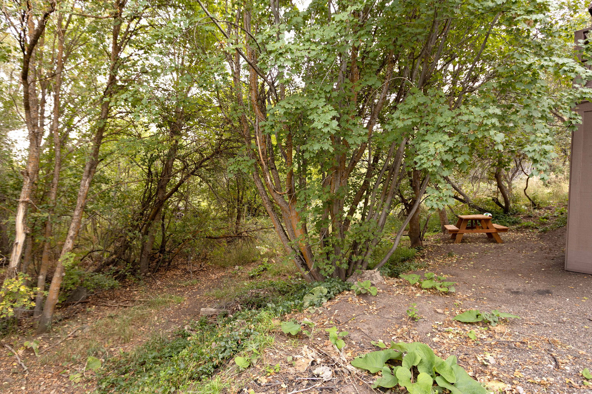 SILVER BELL ESTATES - Residential