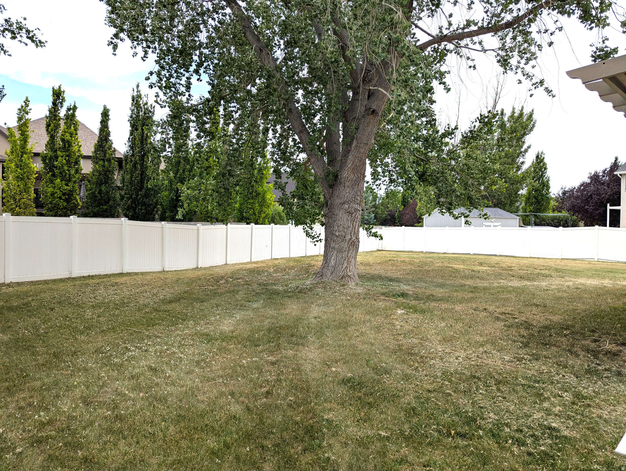 LONE PEAK MEADOWS - Residential