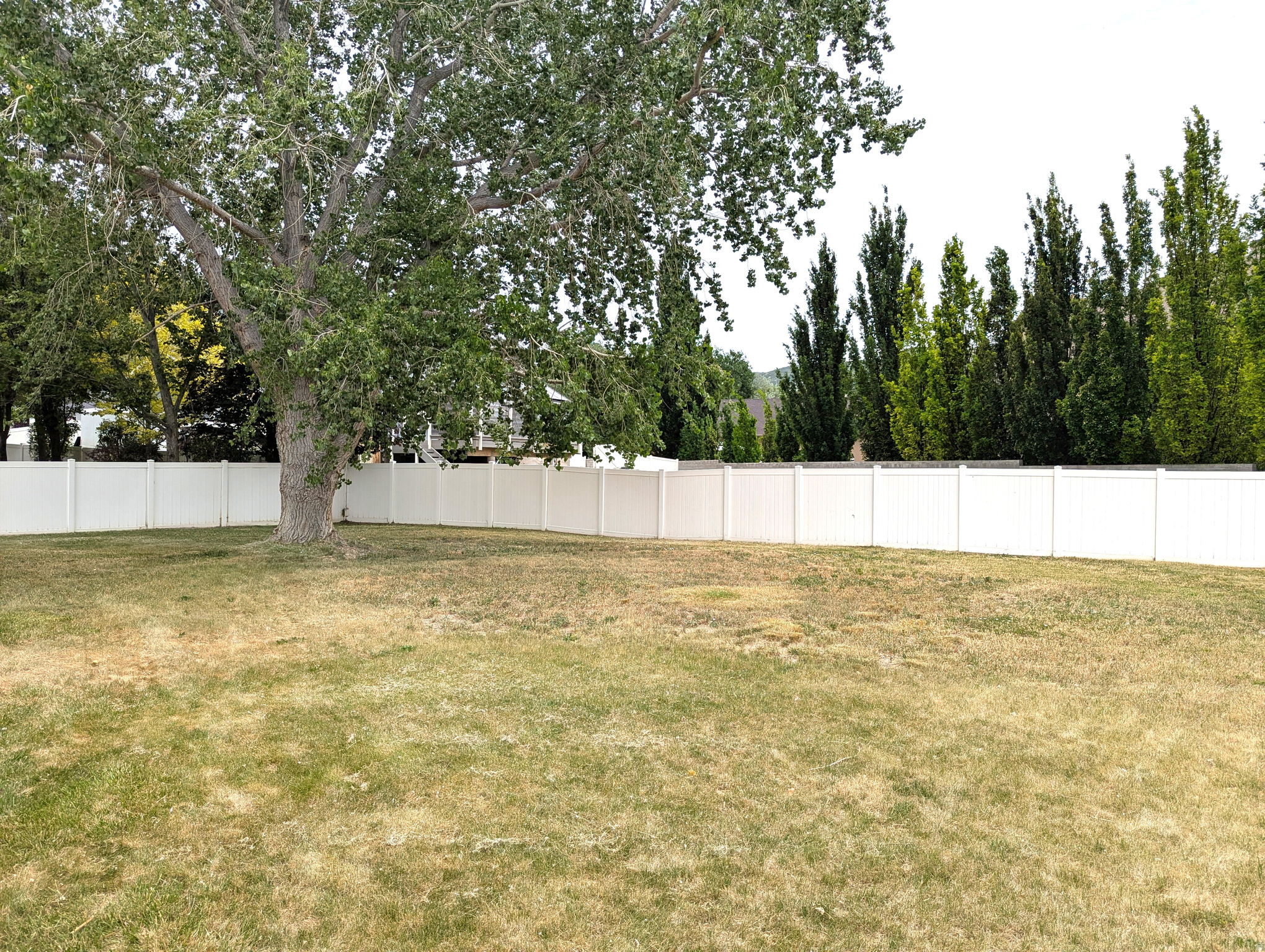 LONE PEAK MEADOWS - Residential
