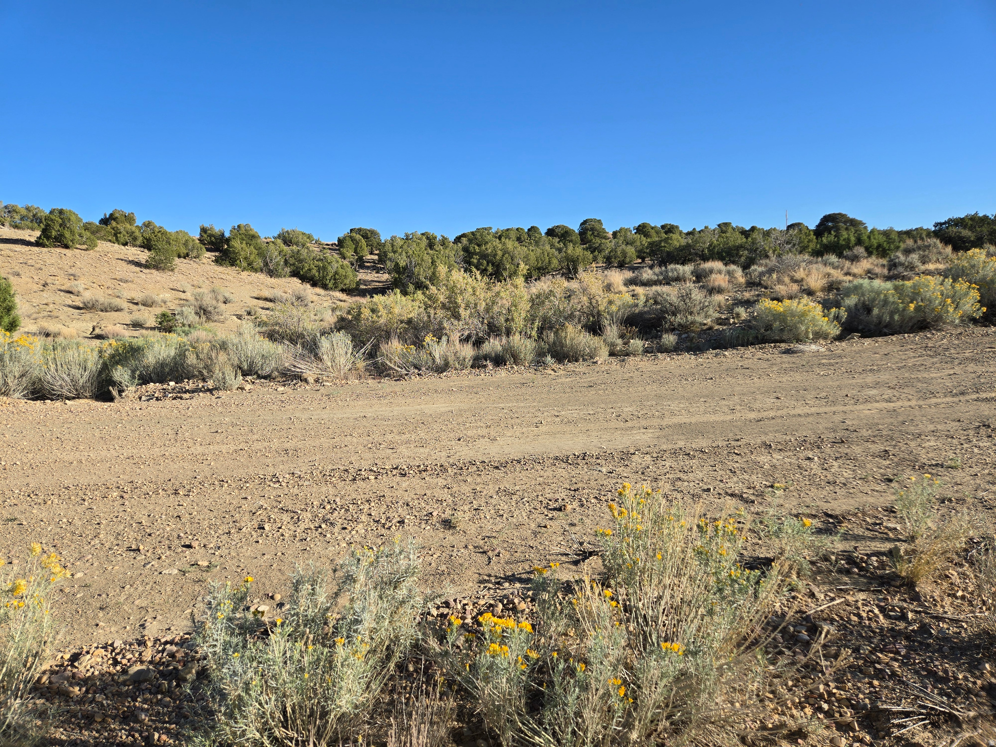 MINI RANCHES - Land