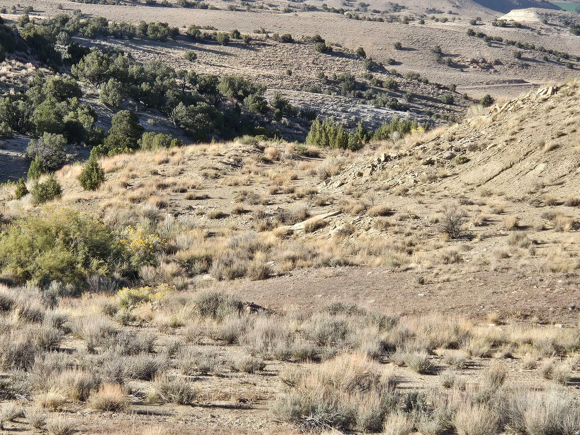 MINI RANCHES - Land