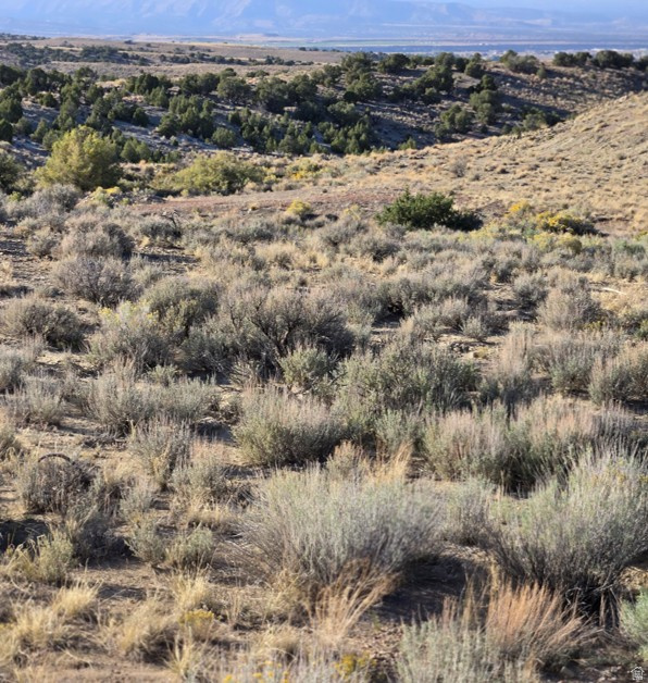 MINI RANCHES - Land