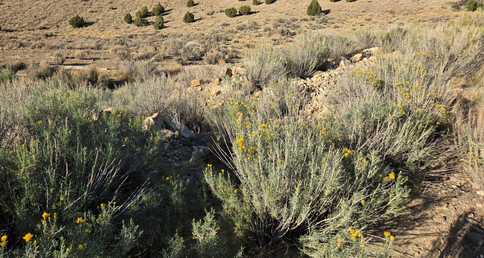 MINI RANCHES - Land