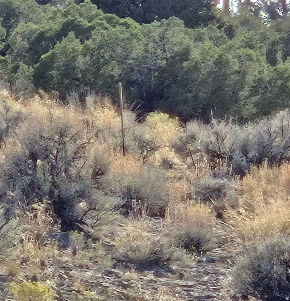 MINI RANCHES - Land