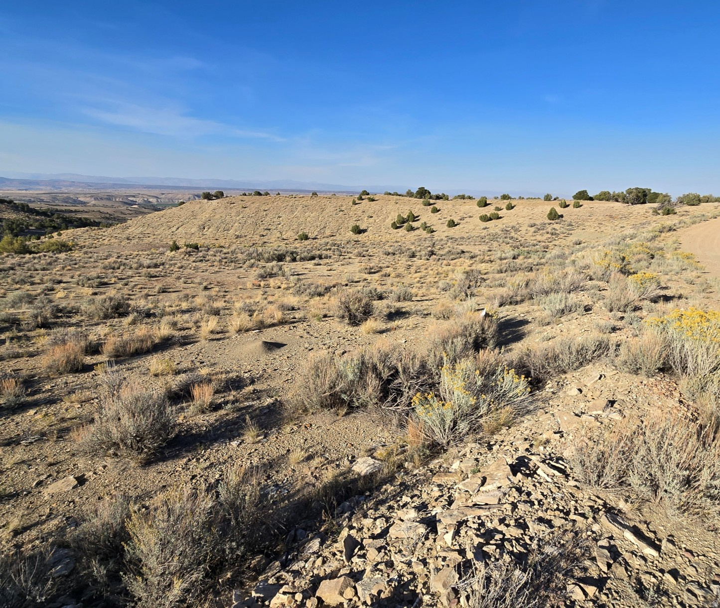 MINI RANCHES - Land