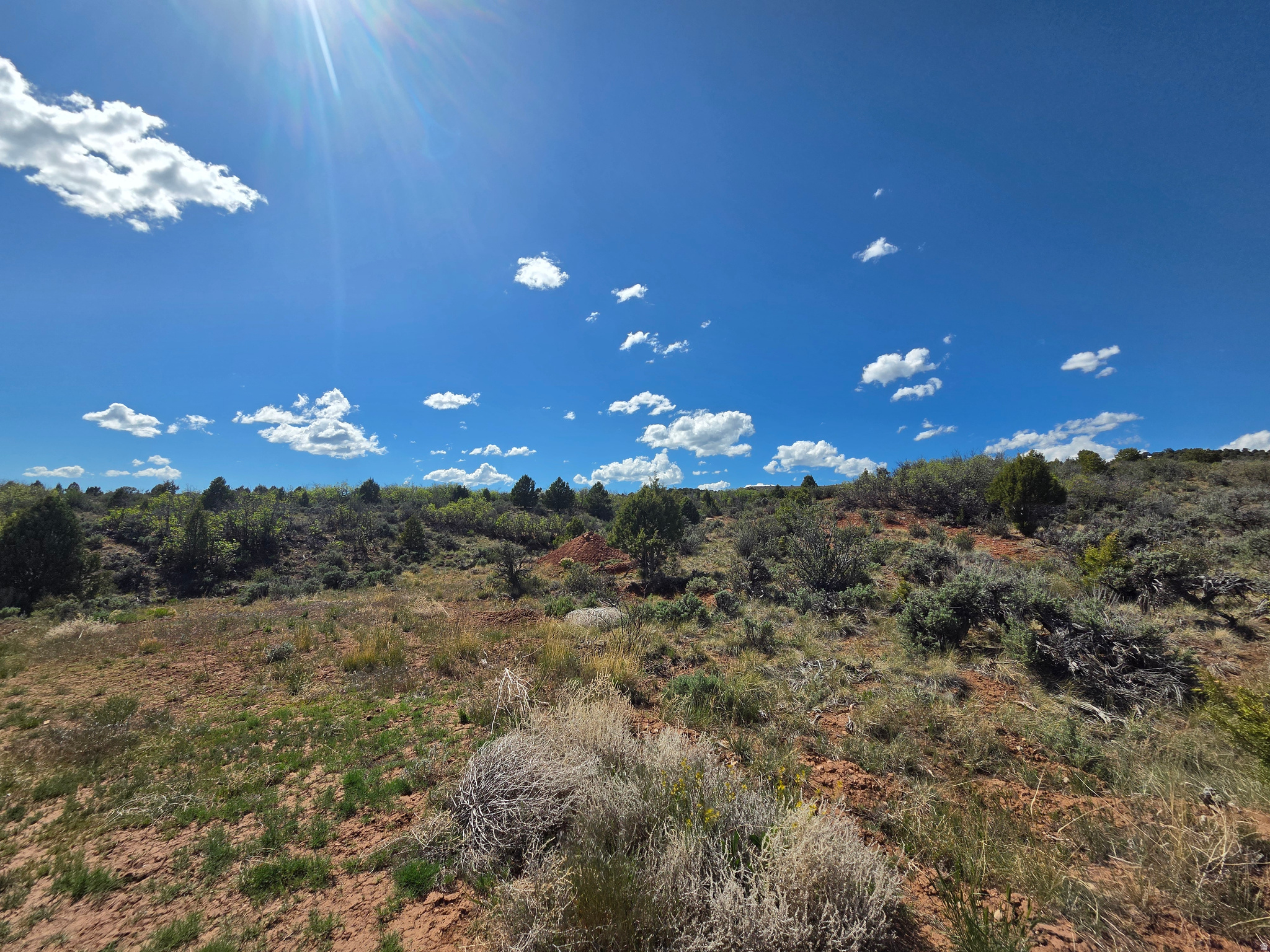 OAK HILLS RANCH - Land