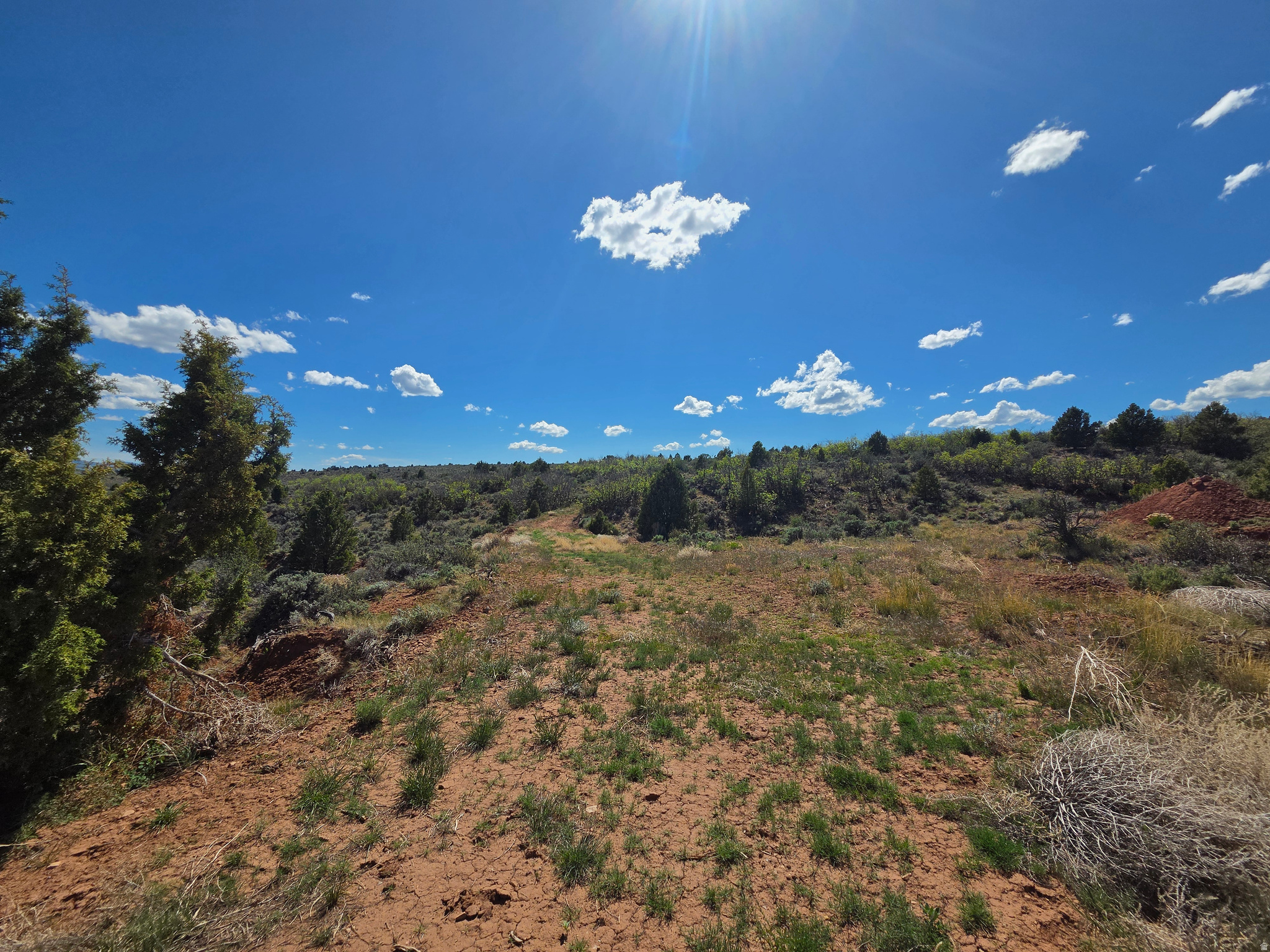 OAK HILLS RANCH - Land