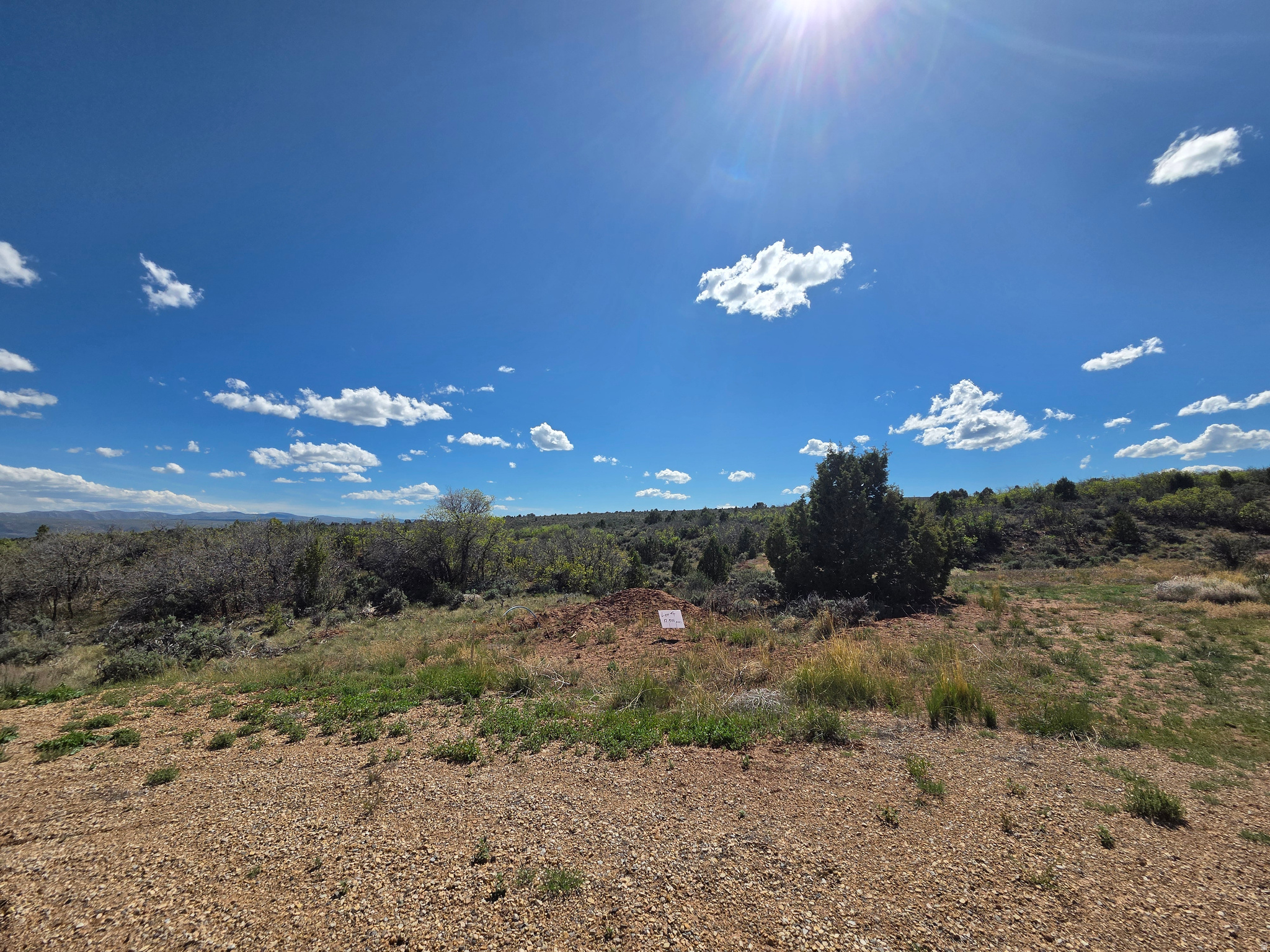 OAK HILLS RANCH - Land