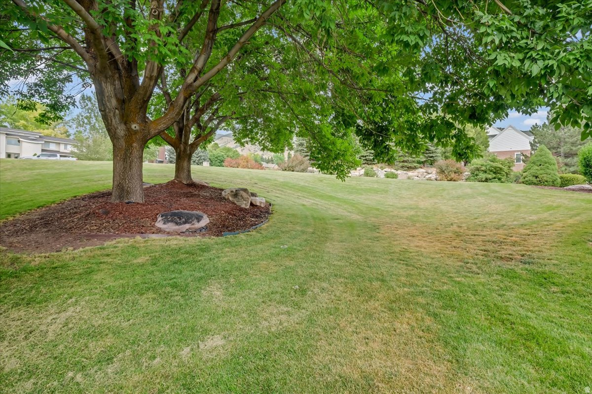 CANYON RIDGE ESTATES - Residential