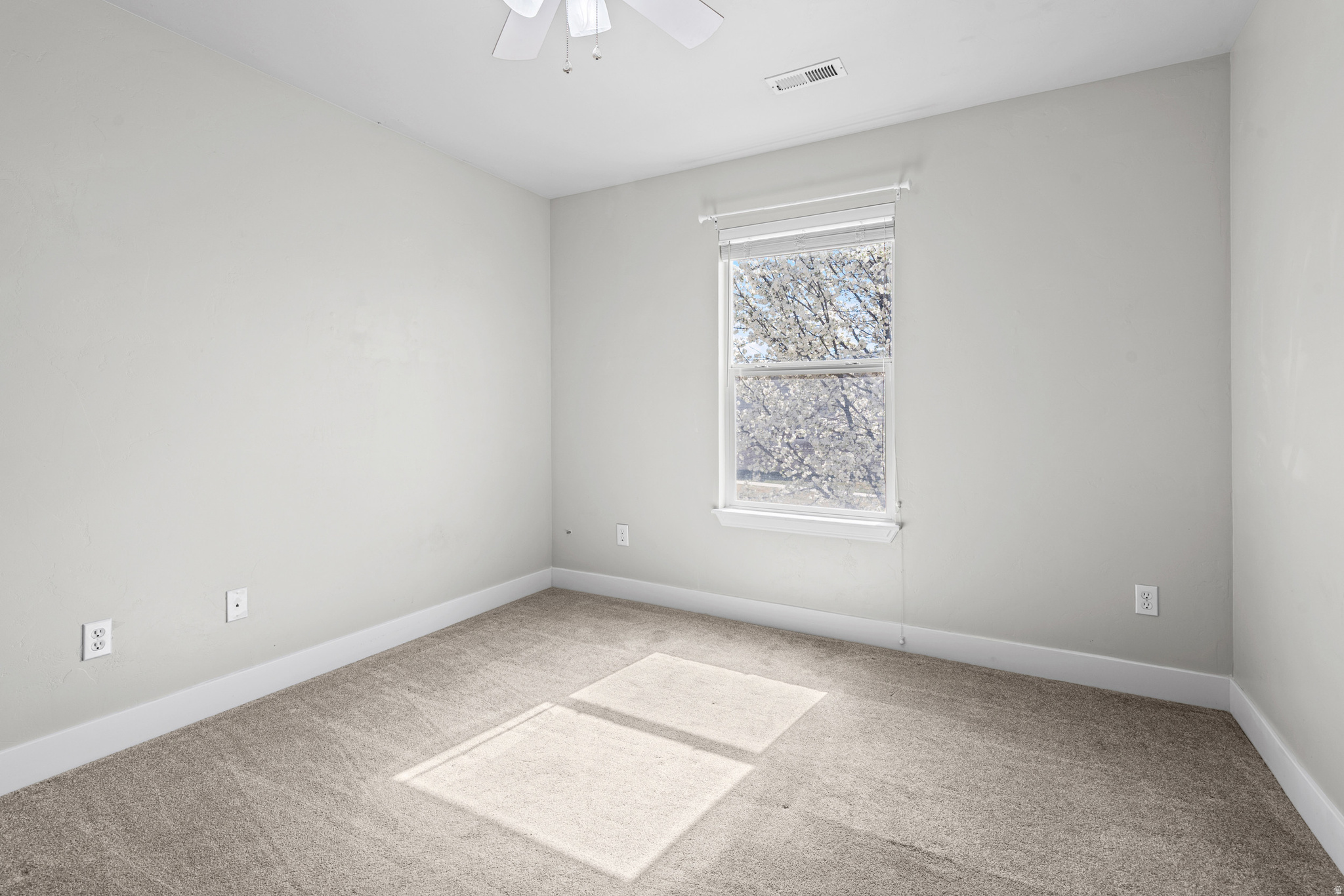 MONARCH MEADOWS - Residential