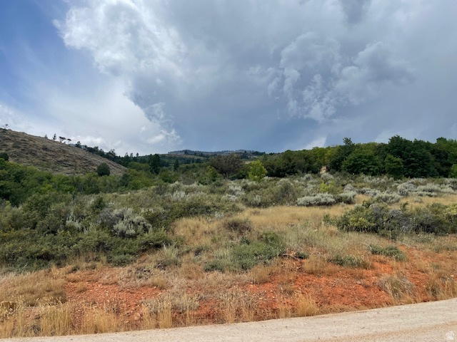 ELK HOLLOW RANCHES - Land