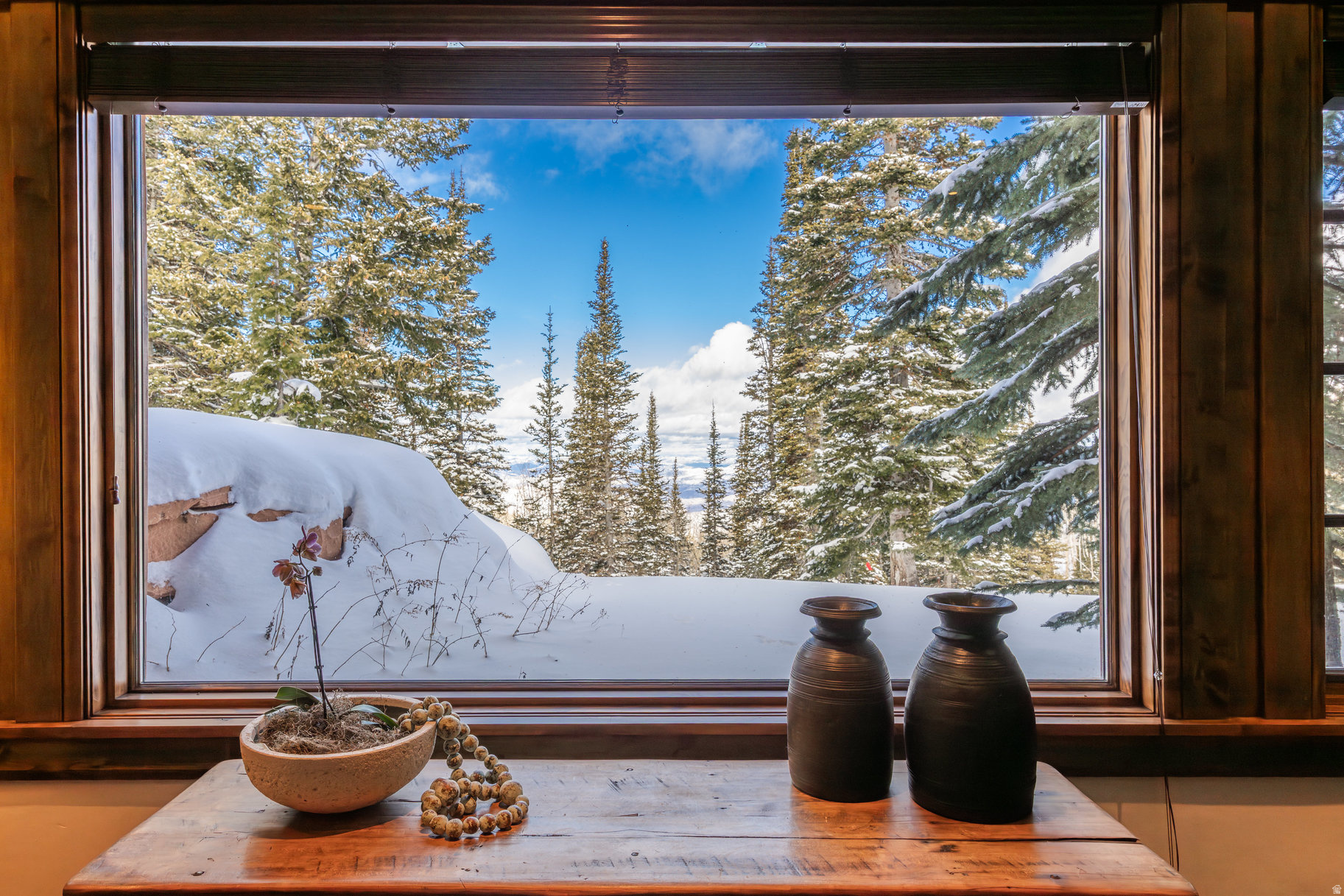 COLONY AT WHITE PINE - Residential