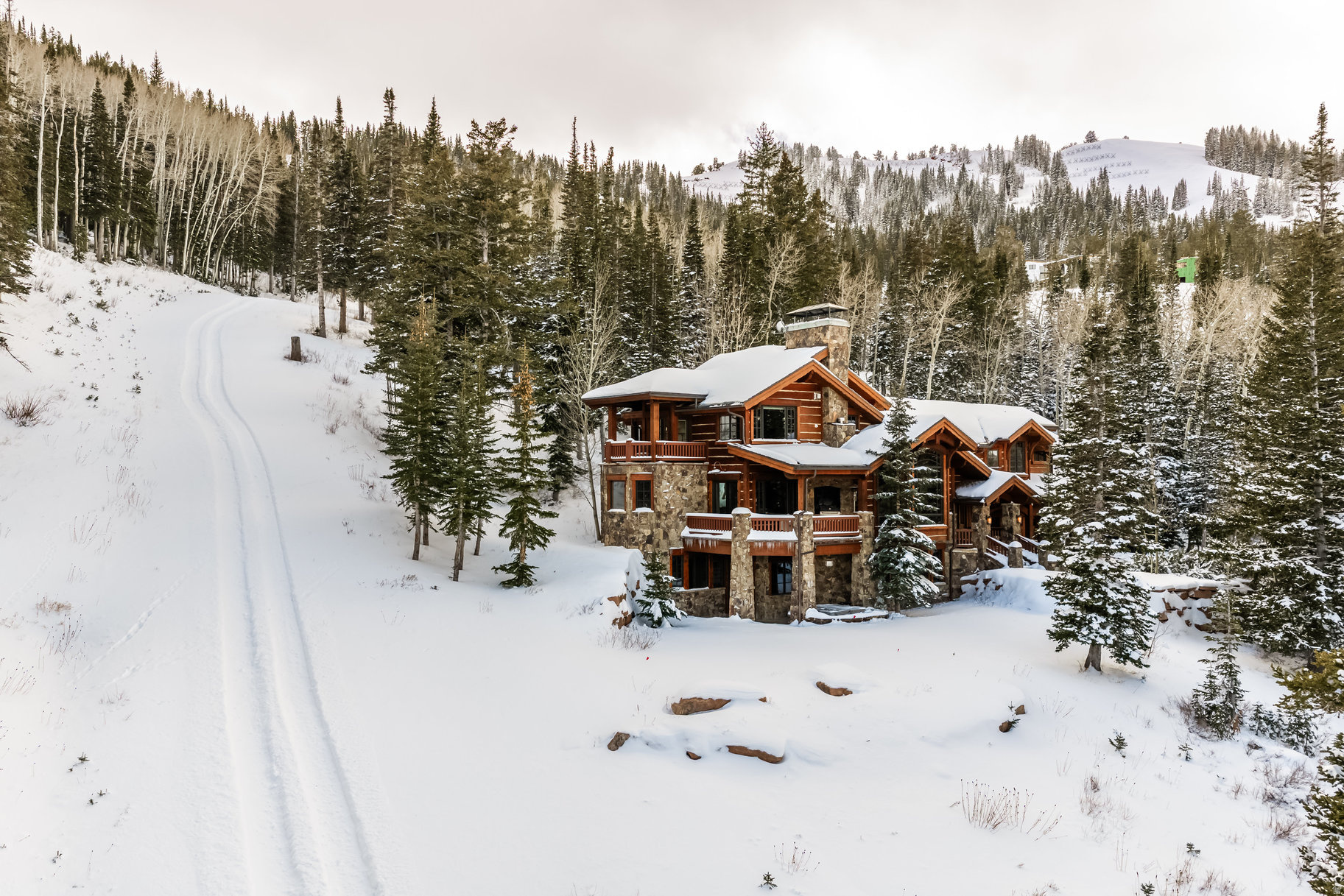 COLONY AT WHITE PINE - Residential