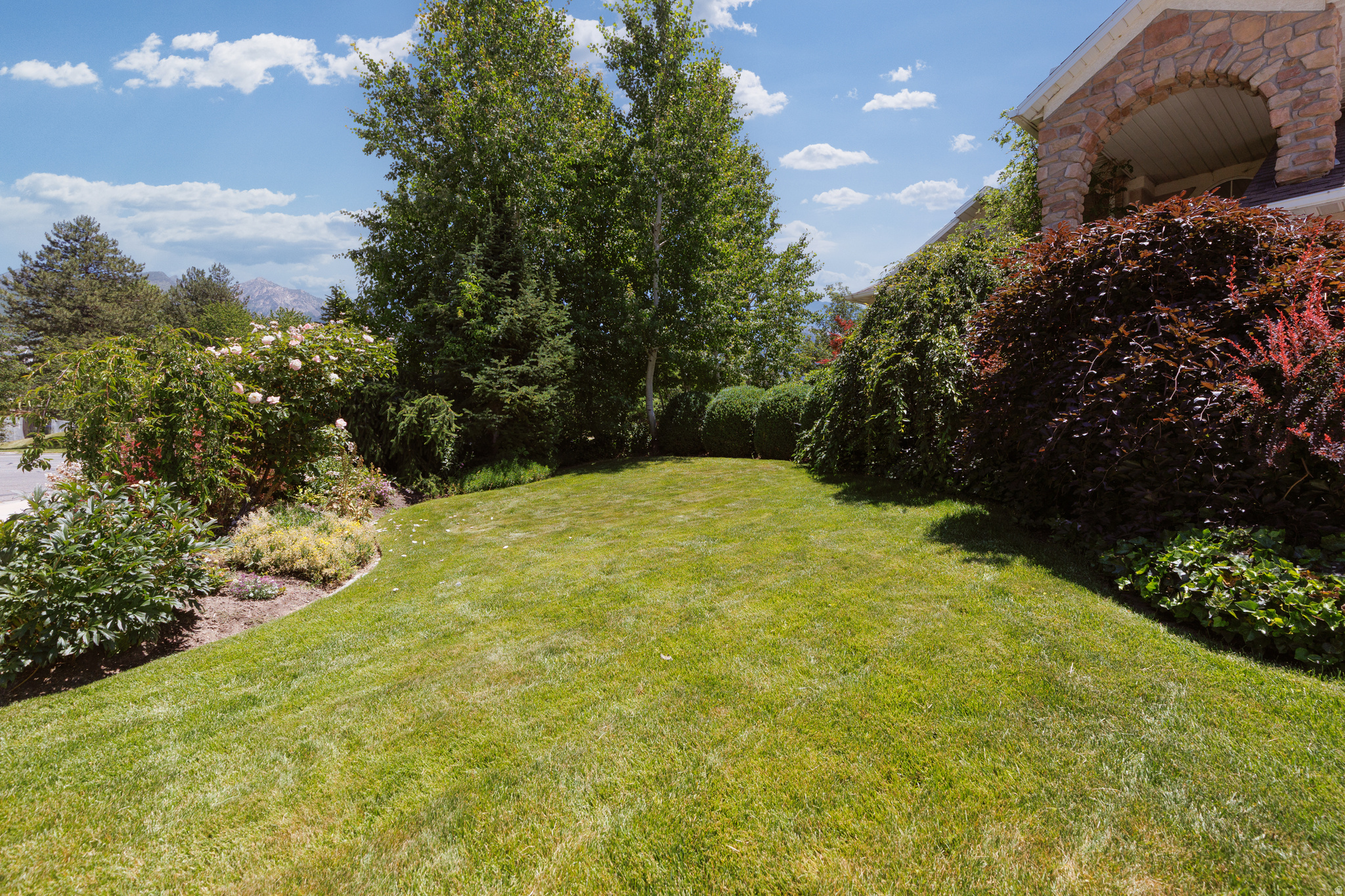 WILLOW CREEK TERRACE #3 - Residential