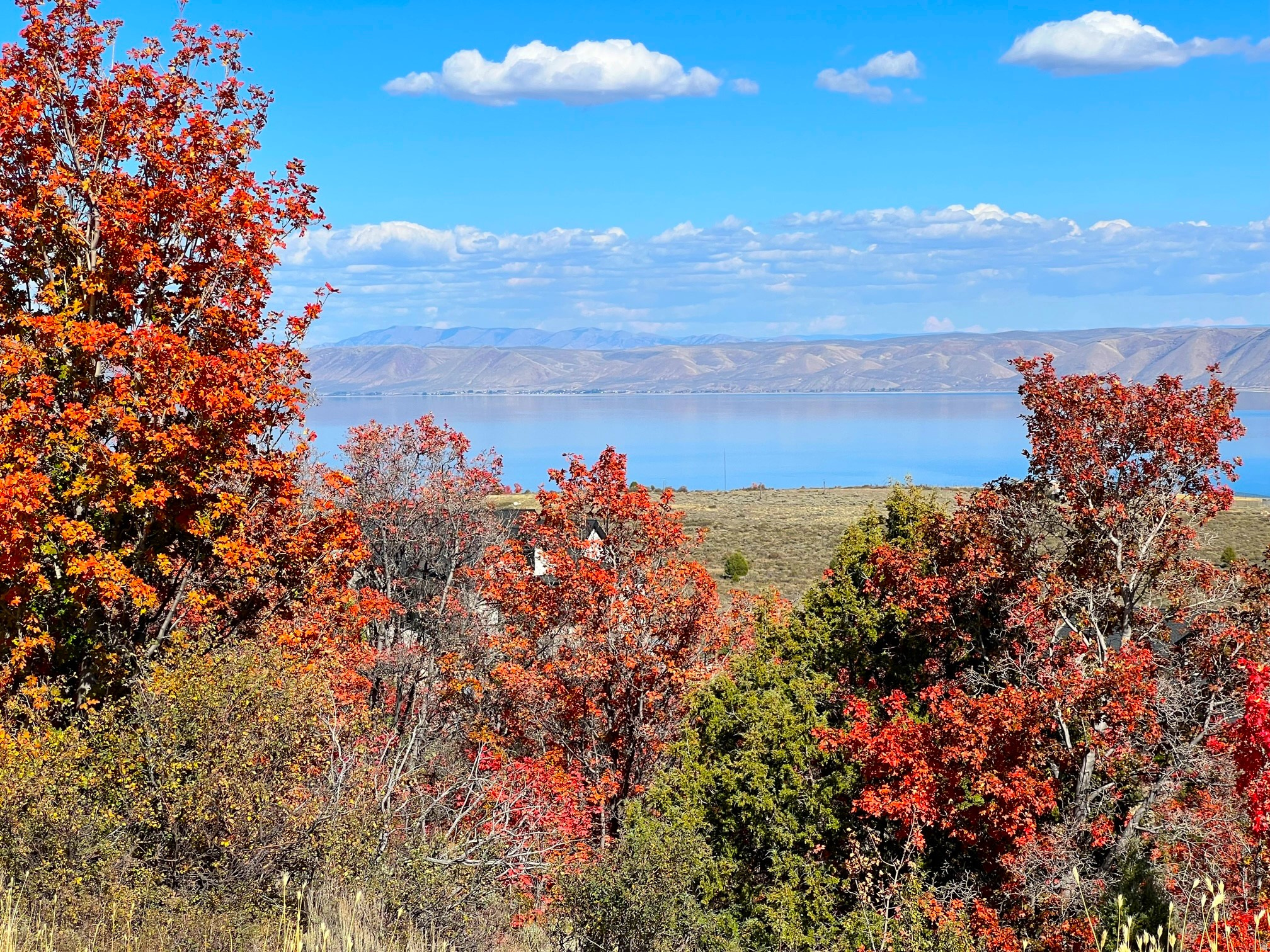 SHUNDAHAI,  EAGELE FEATHER - Land