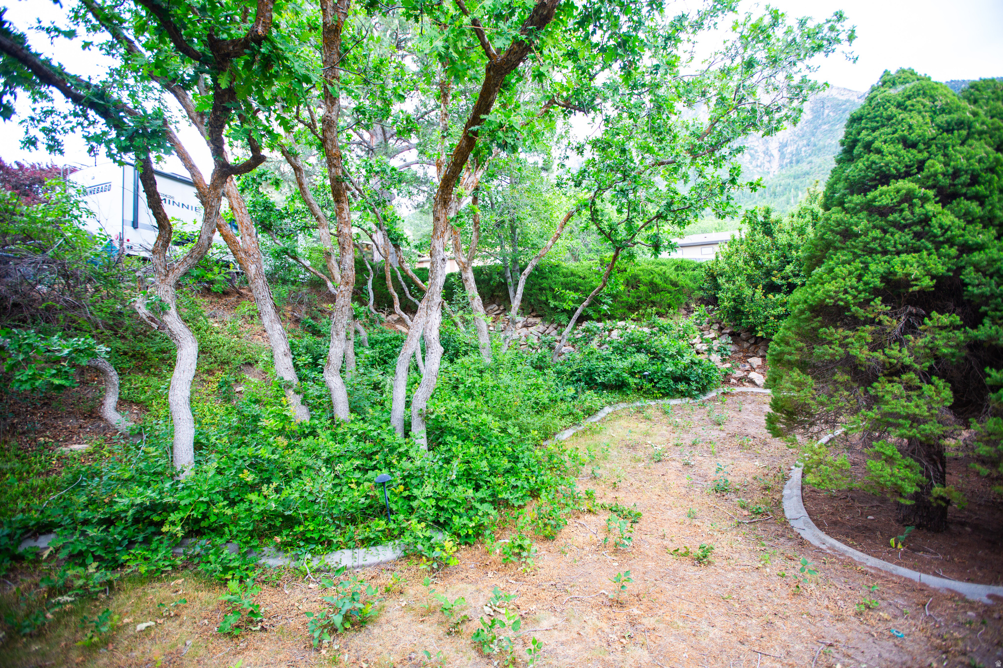 MT. OLYMPUS - Residential