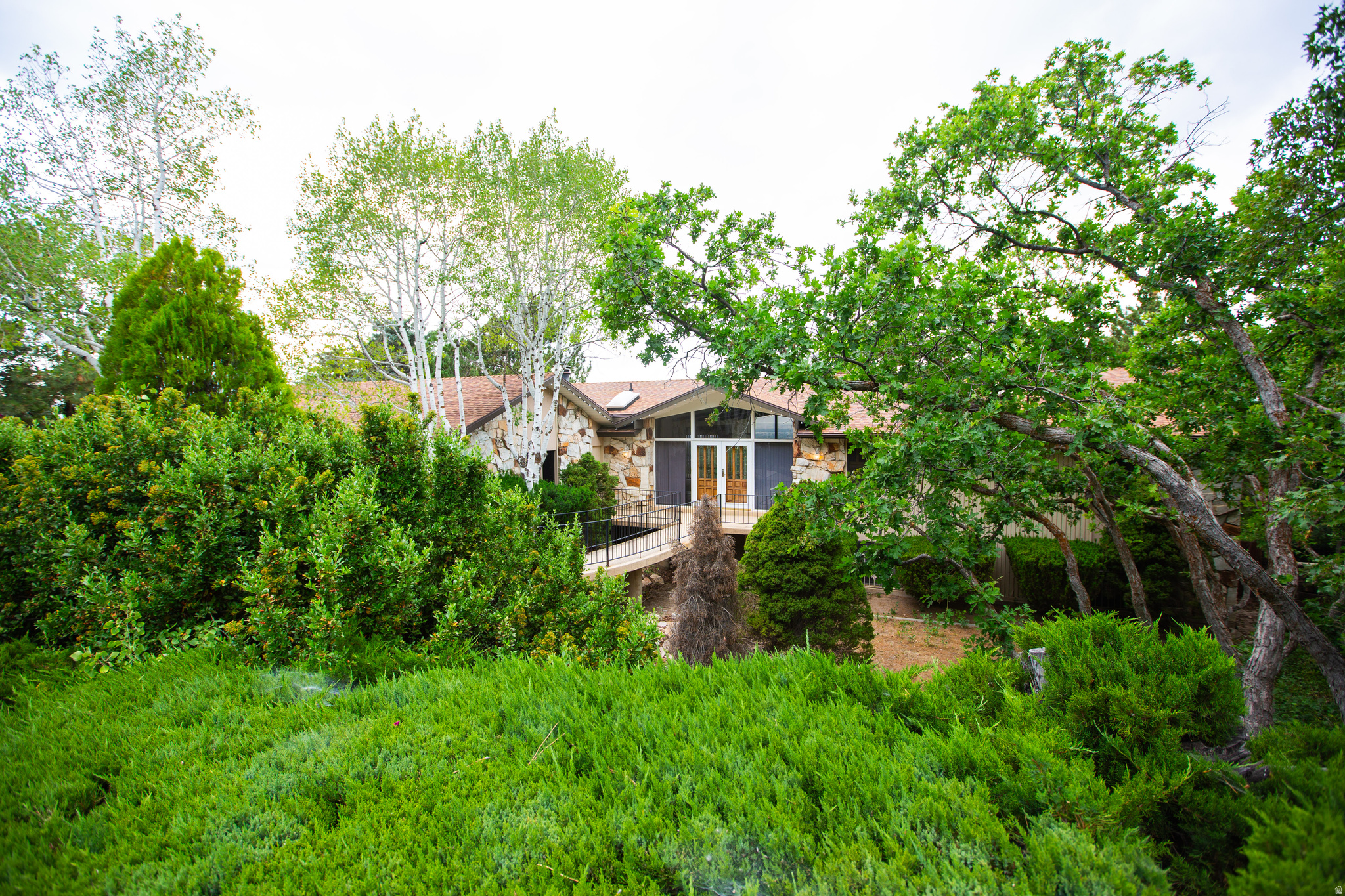 MT. OLYMPUS - Residential