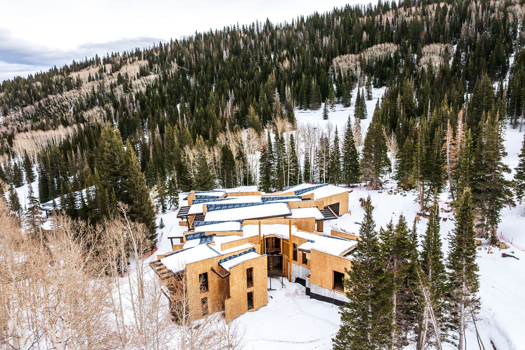 COLONY @ WHITE PINE - Residential