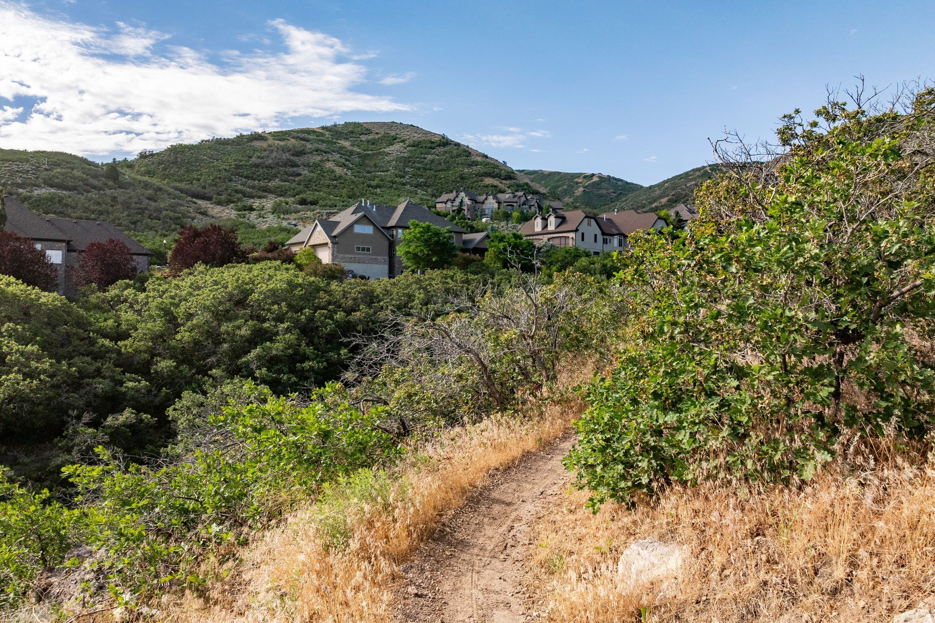 OAK HOLLOW ESTATES - Residential