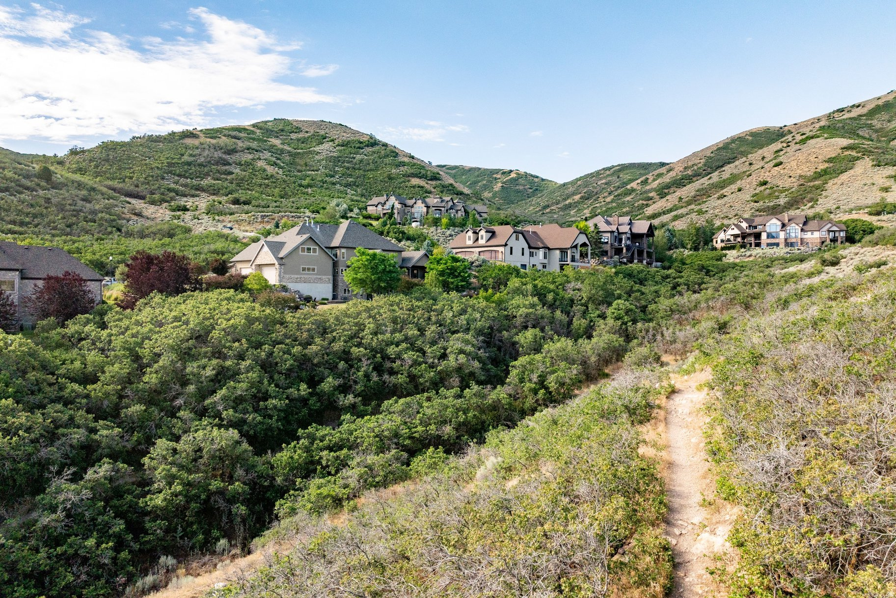 OAK HOLLOW ESTATES - Residential