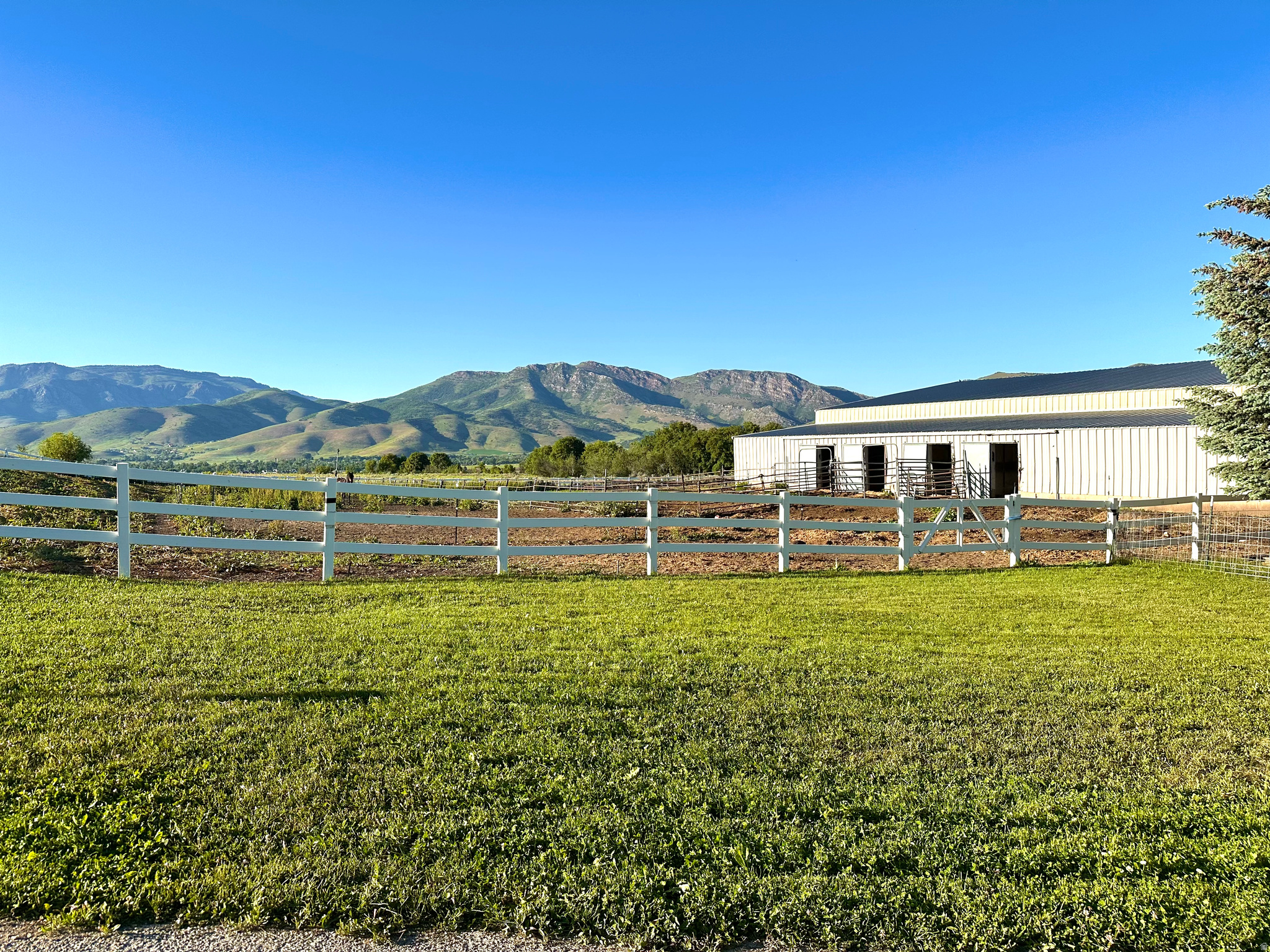 FALCON CREST - Residential
