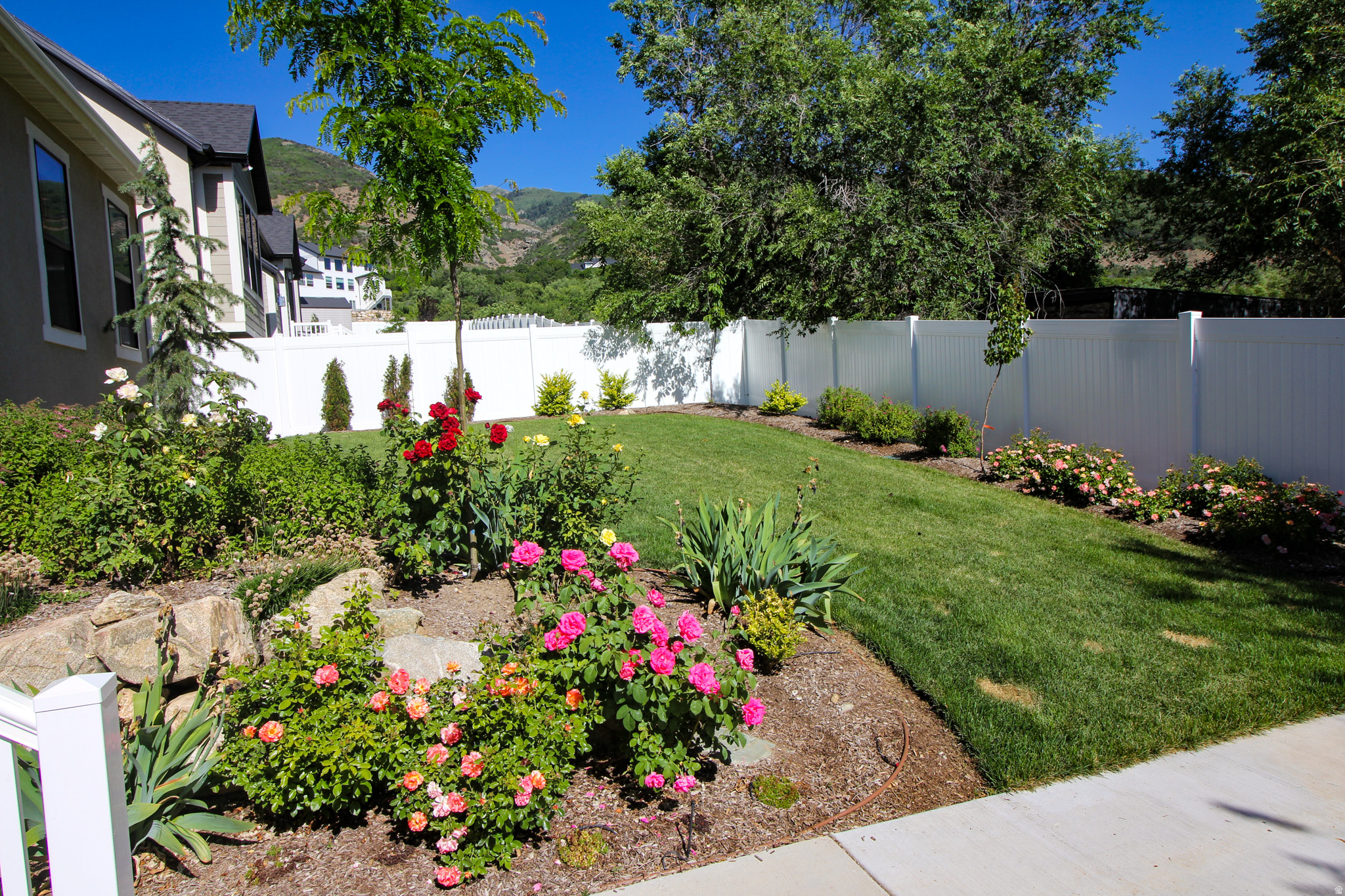 ORCHARD RIDGE - Residential