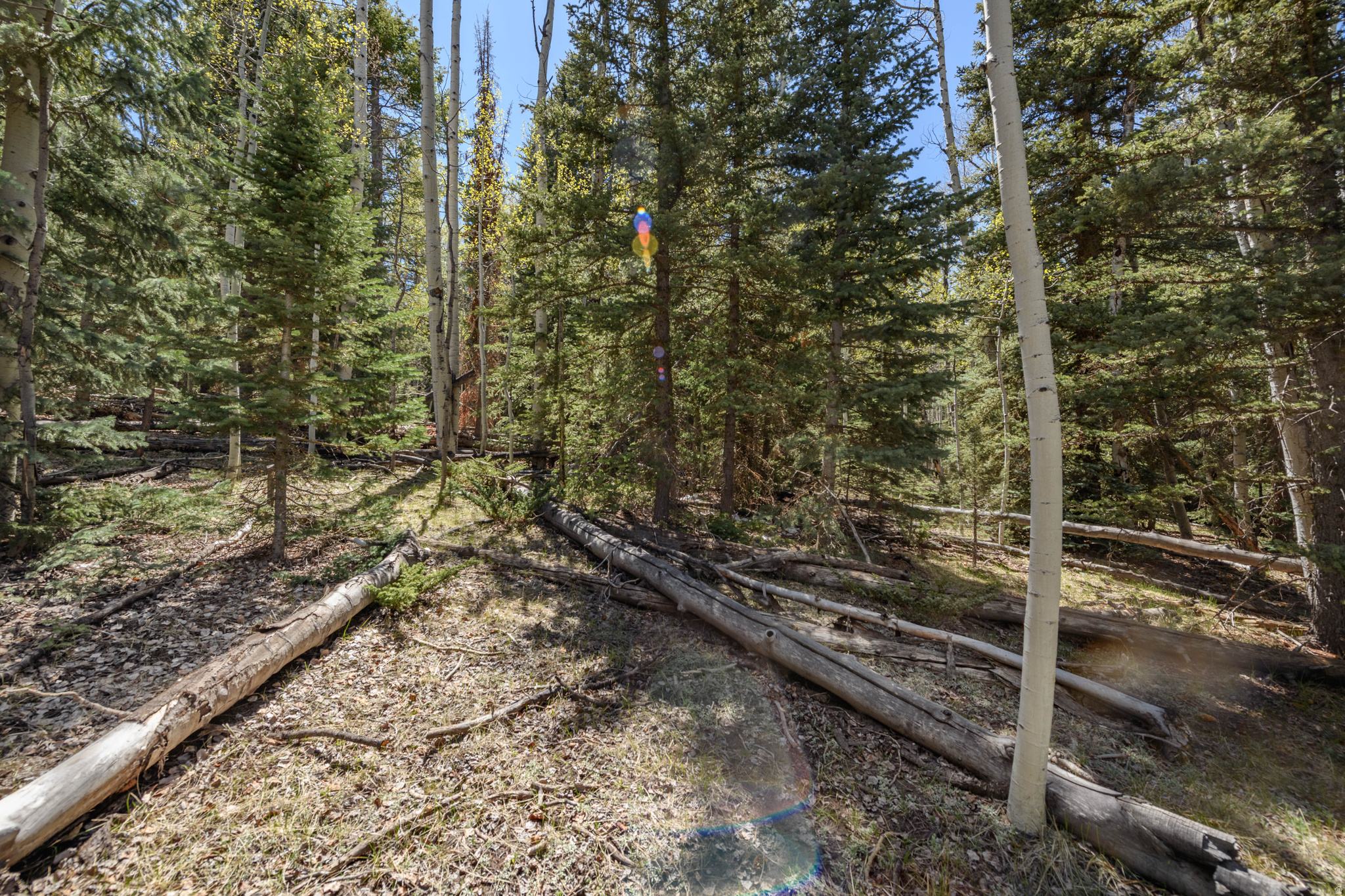 CLEAR CREEK ESTATES - Land