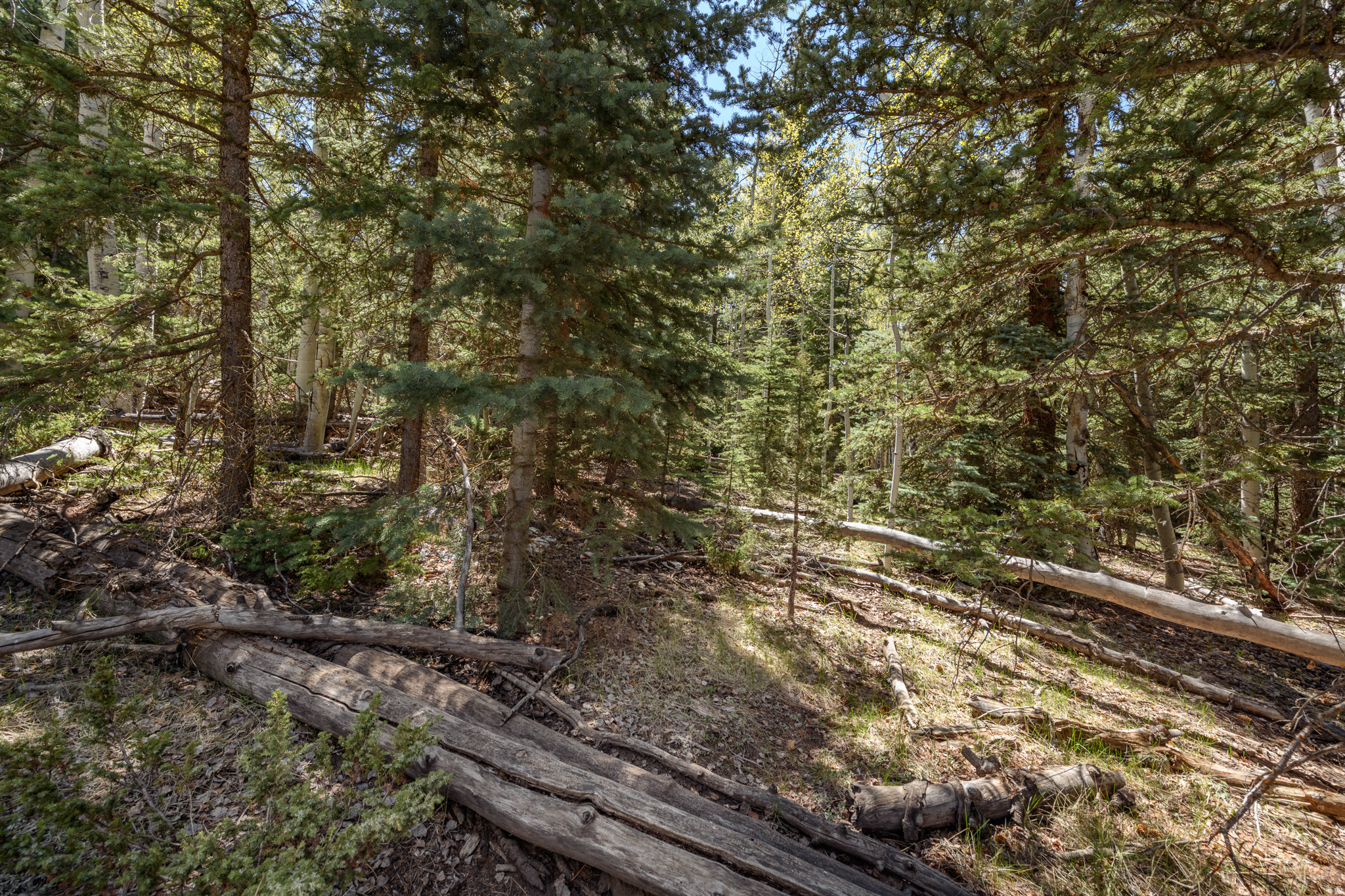 CLEAR CREEK ESTATES - Land