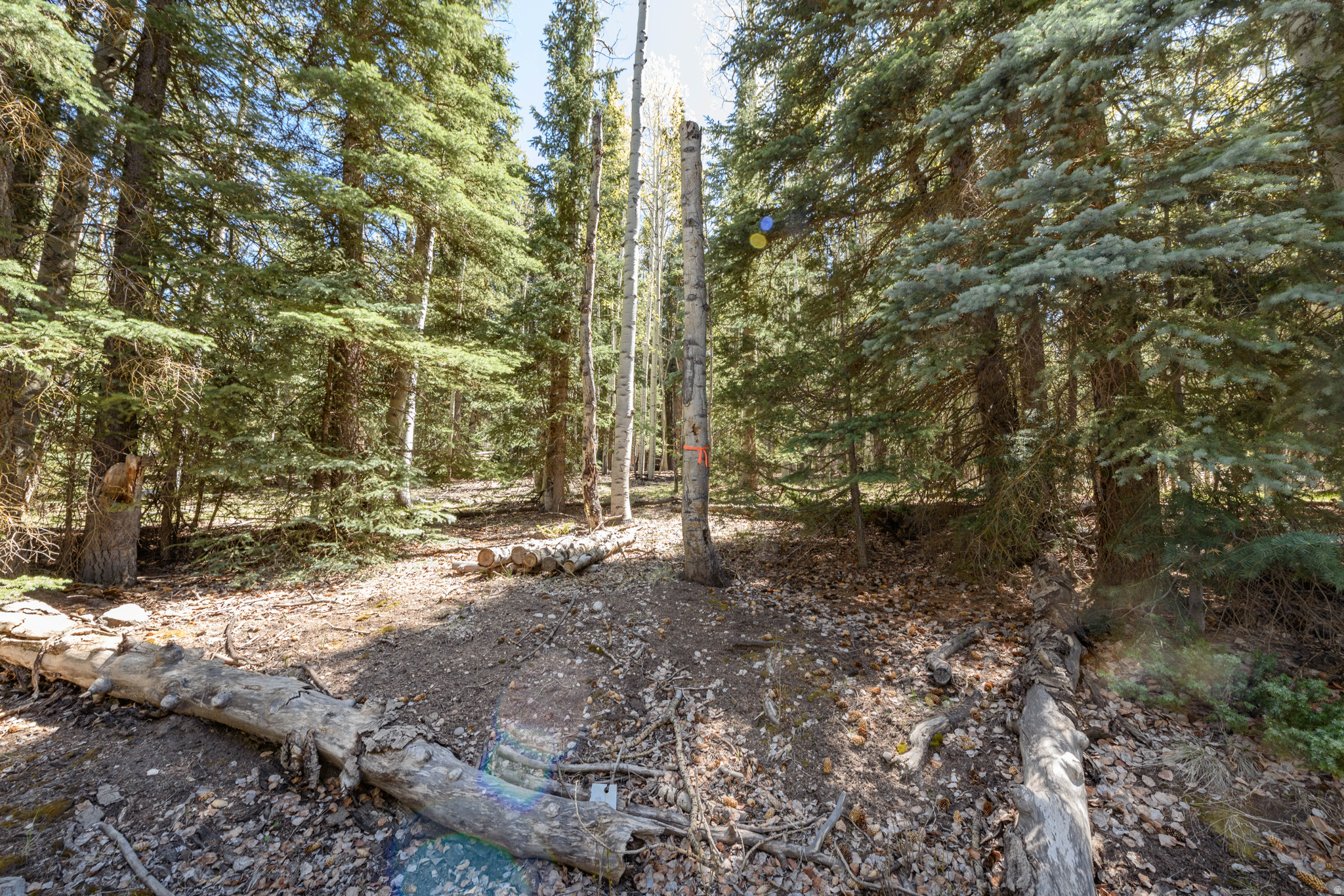CLEAR CREEK ESTATES - Land