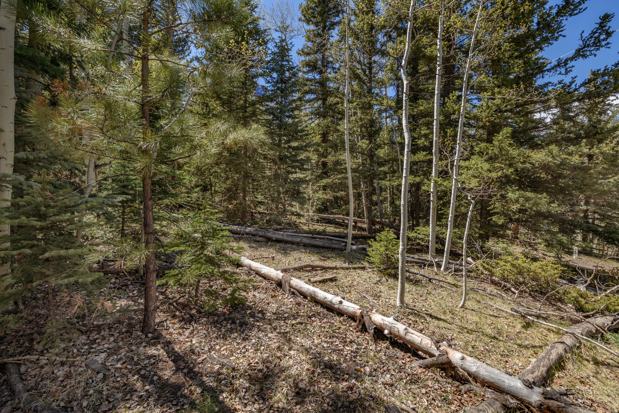 CLEAR CREEK ESTATES - Land