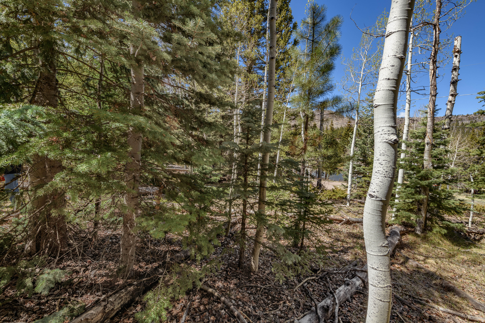 CLEAR CREEK ESTATES - Land