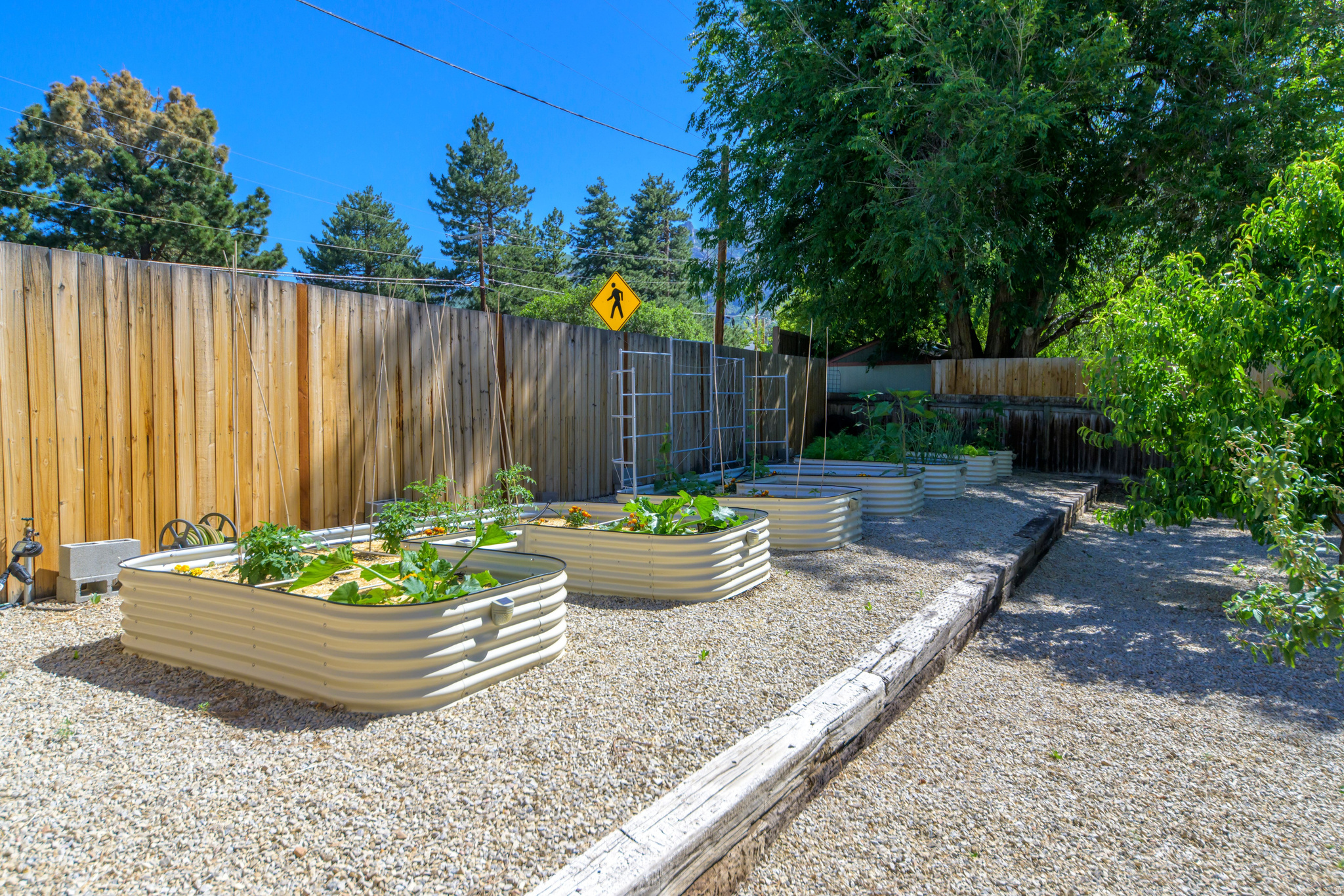 COTTONWOOD R - Residential