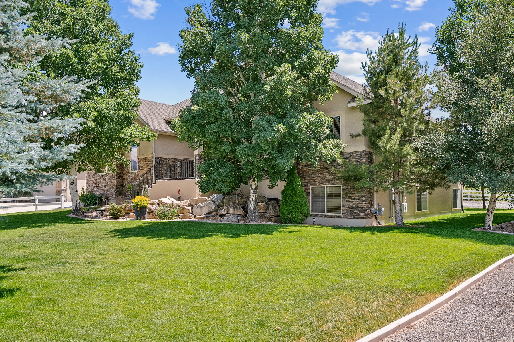 WILD WILLOW - Residential