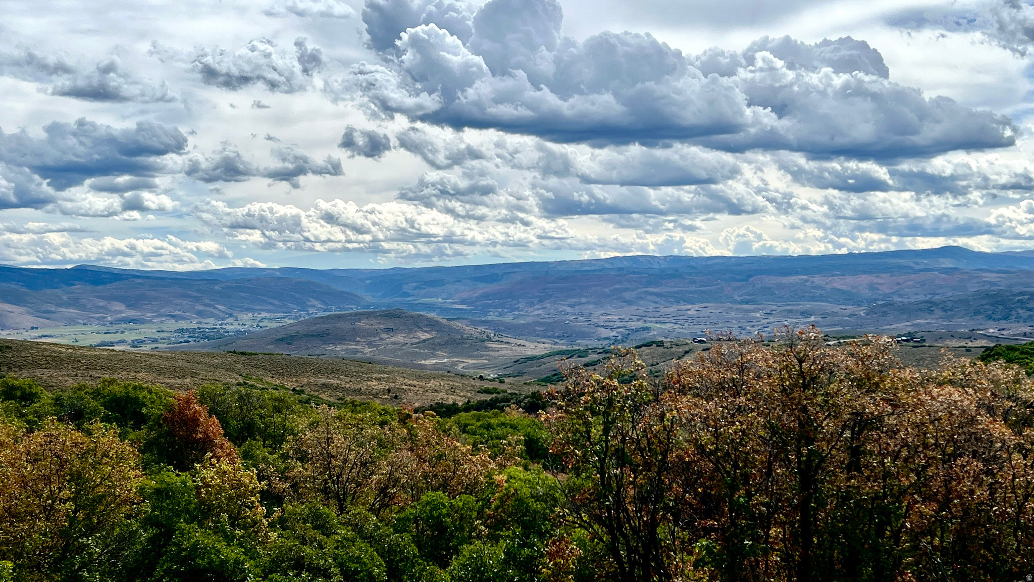 GOLDEN EAGLE - Land