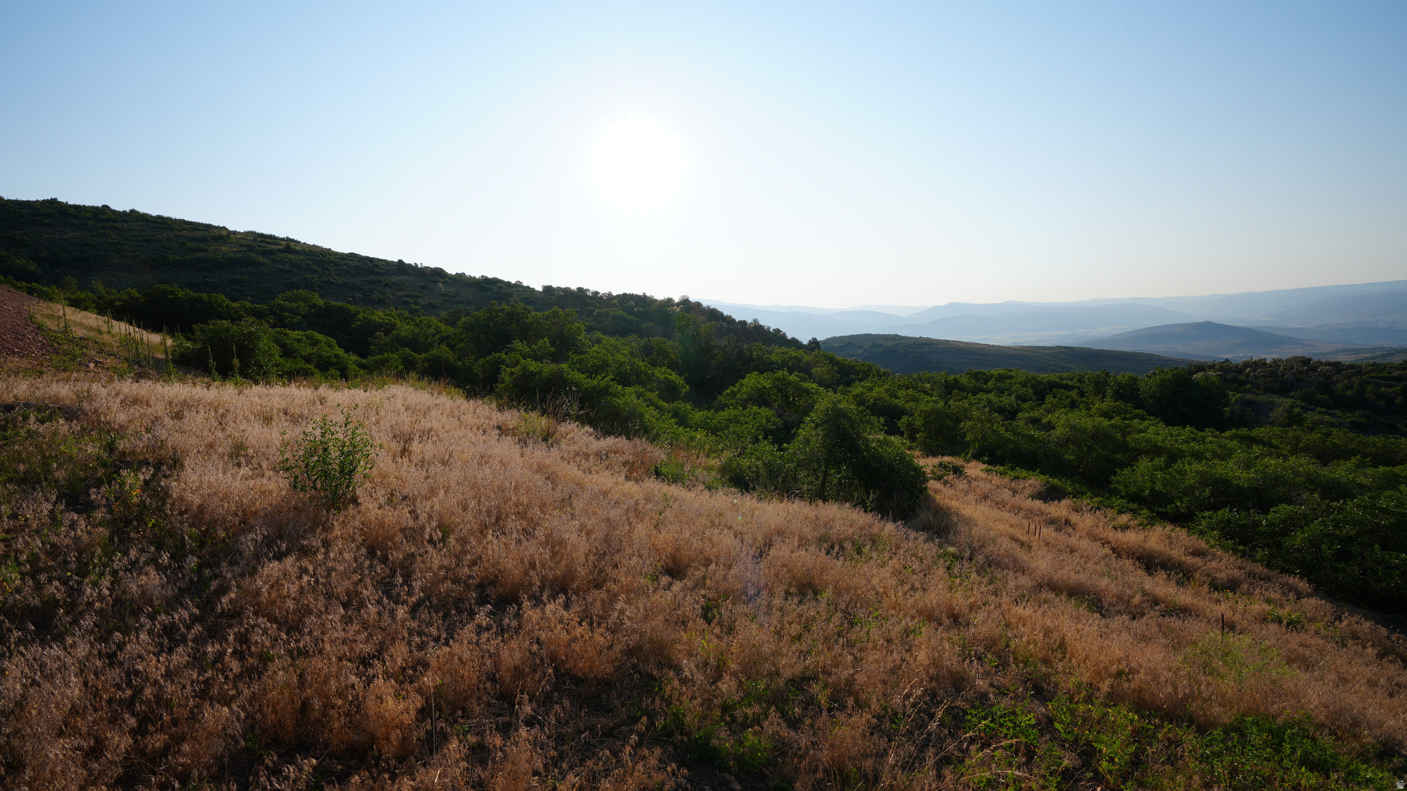 GOLDEN EAGLE - Land