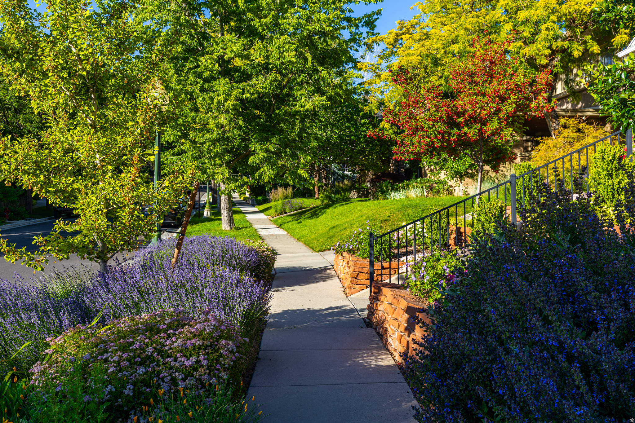 FEDERAL HEIGHTS - Residential