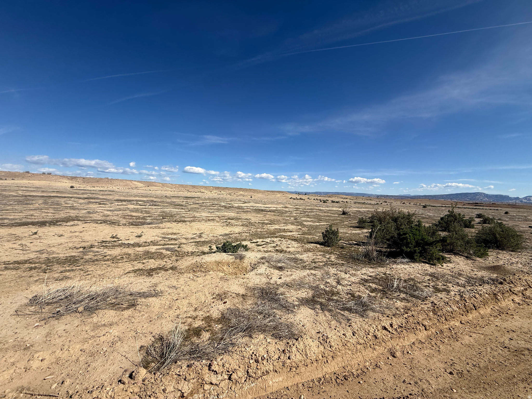 This exceptional 240-acre property offers a rare opportunity to own a prime piece of countryside with incredible development potential. Featuring 98.78 valuable water shares, the land is well-positioned for agricultural use, investment, or future residential expansion. Ideally suited for developers, the property is ready to be subdivided, with the potential to divide into five parcels-making it a flexible and strategic investment. Whether you're looking to purchase the entire acreage as one expansive estate or develop it into multiple homesites, this land provides endless possibilities. Surrounded by open space and natural beauty, this property offers privacy, scenic views, and the tranquility of rural living while still presenting strong upside for growth and development. A unique opportunity to secure a large tract of land with water rights and subdivision potential-perfect for those looking to build, invest, or create something truly special. Buyer to verify all information.