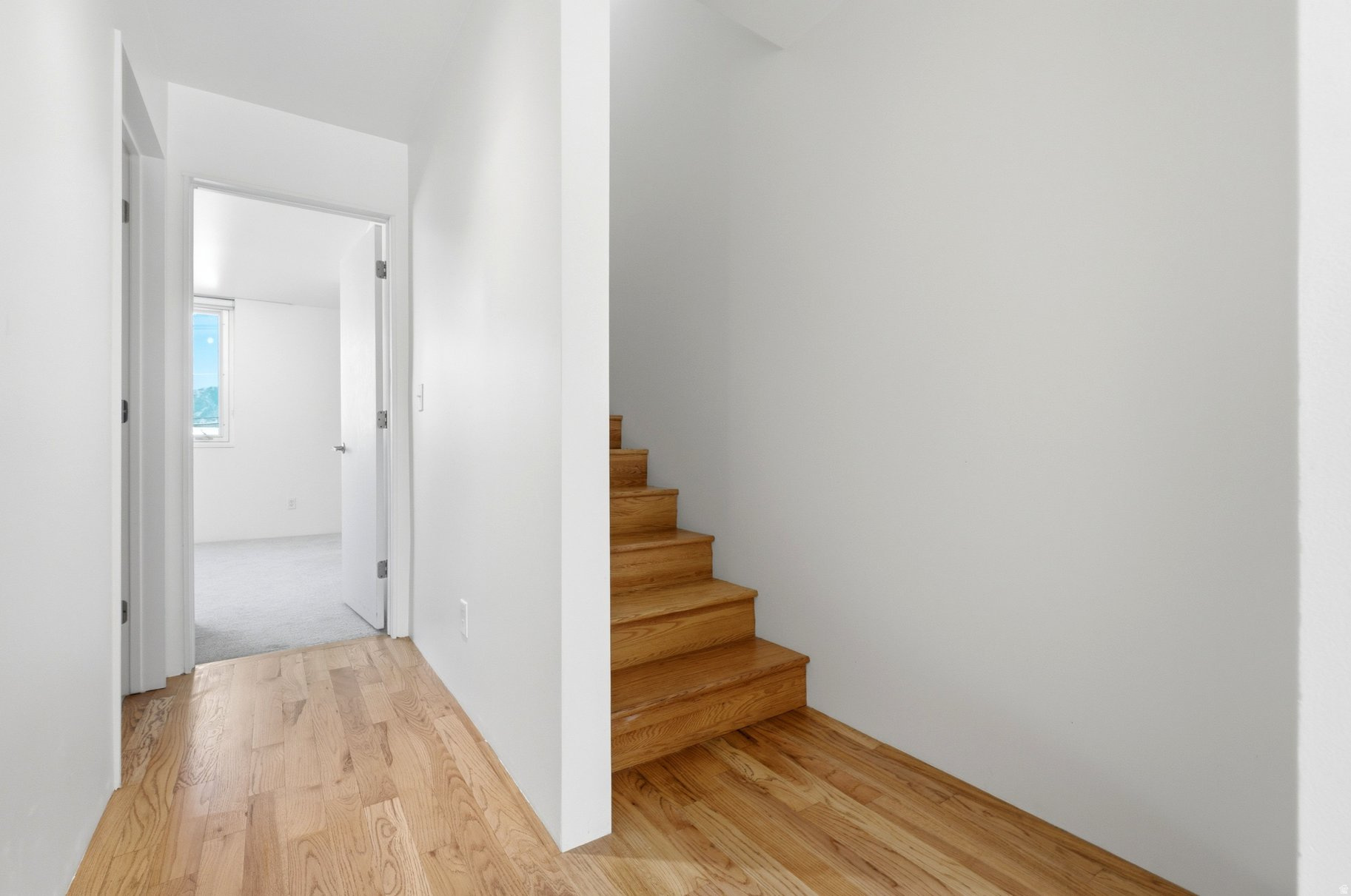 ROWHAUS CONDO - Residential