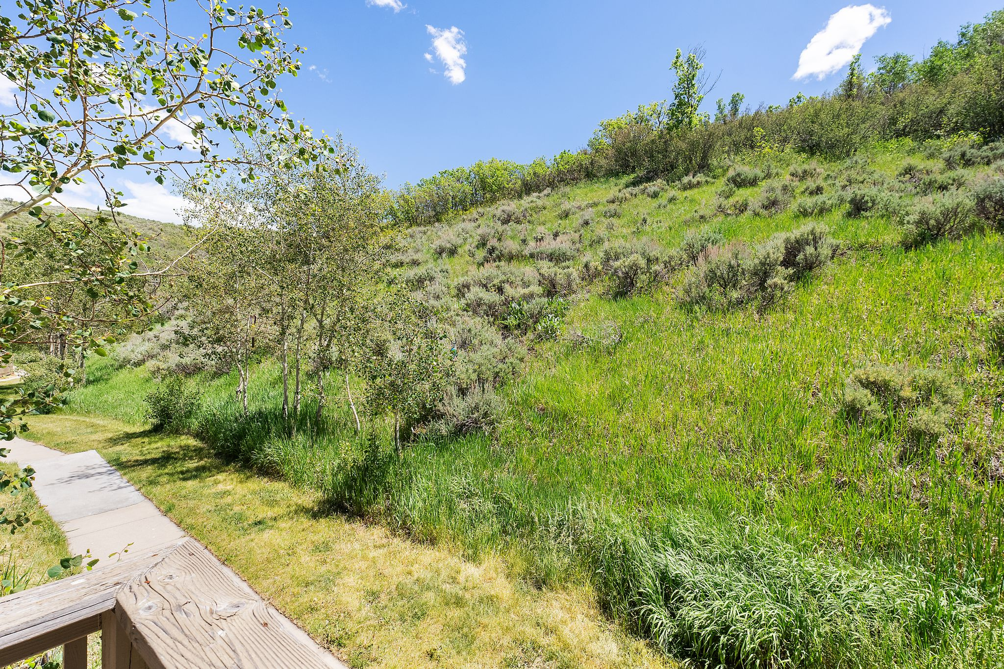 IRONHORSE CONDOMINIUM - Residential