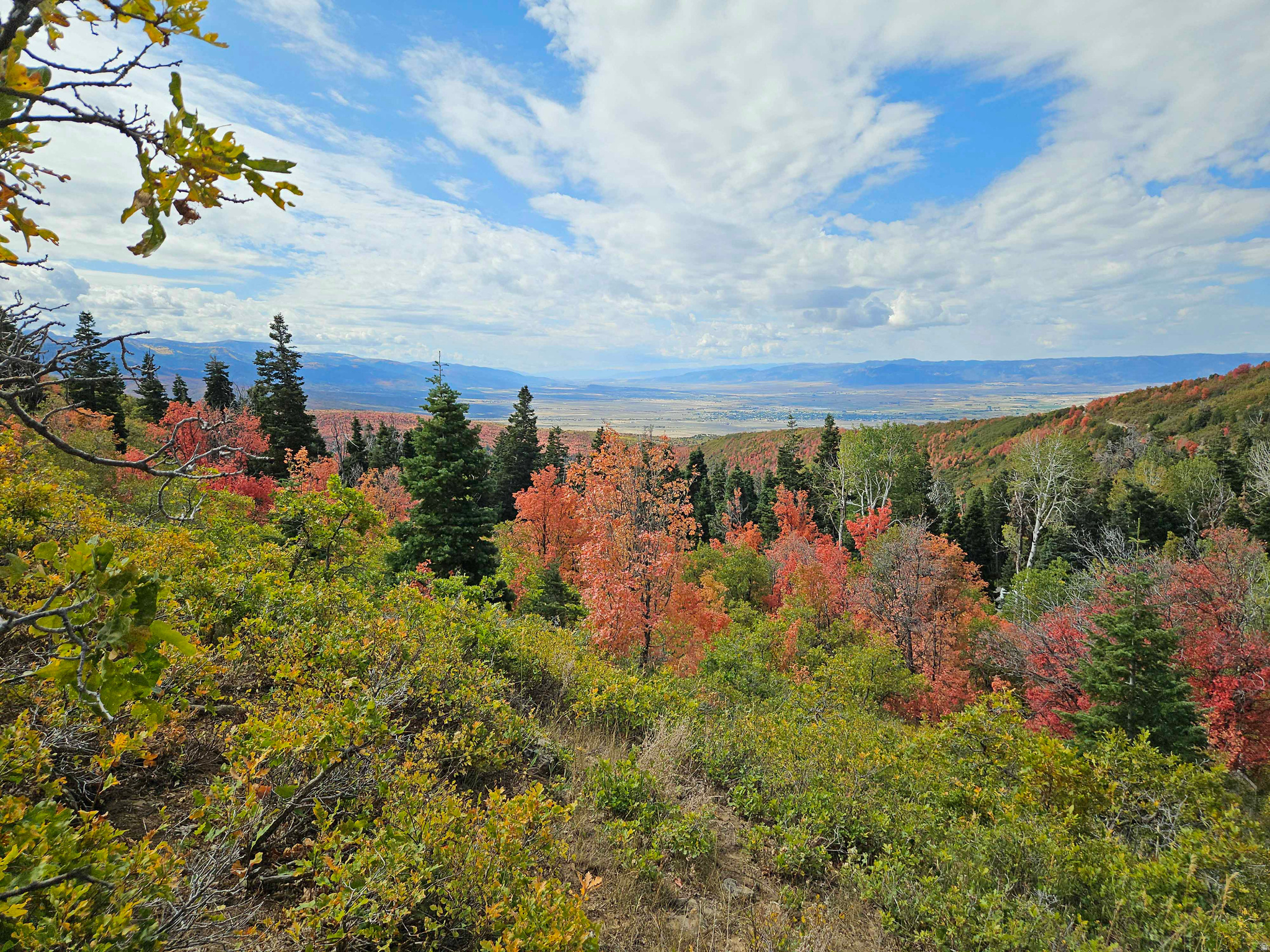 Lot K28 containing 1.09 acres in the Skyline Mtn Resort Subdivision. Located in a very desirable area near the top of the Subdivision. Large pine trees on the property with a great view of the mountains and valley below. Adjacent lots K28 and K30 are also available. This property is in a gated community. Contact listing agent to obtain access and if needed to get directions to the property. Seller Financing is available.