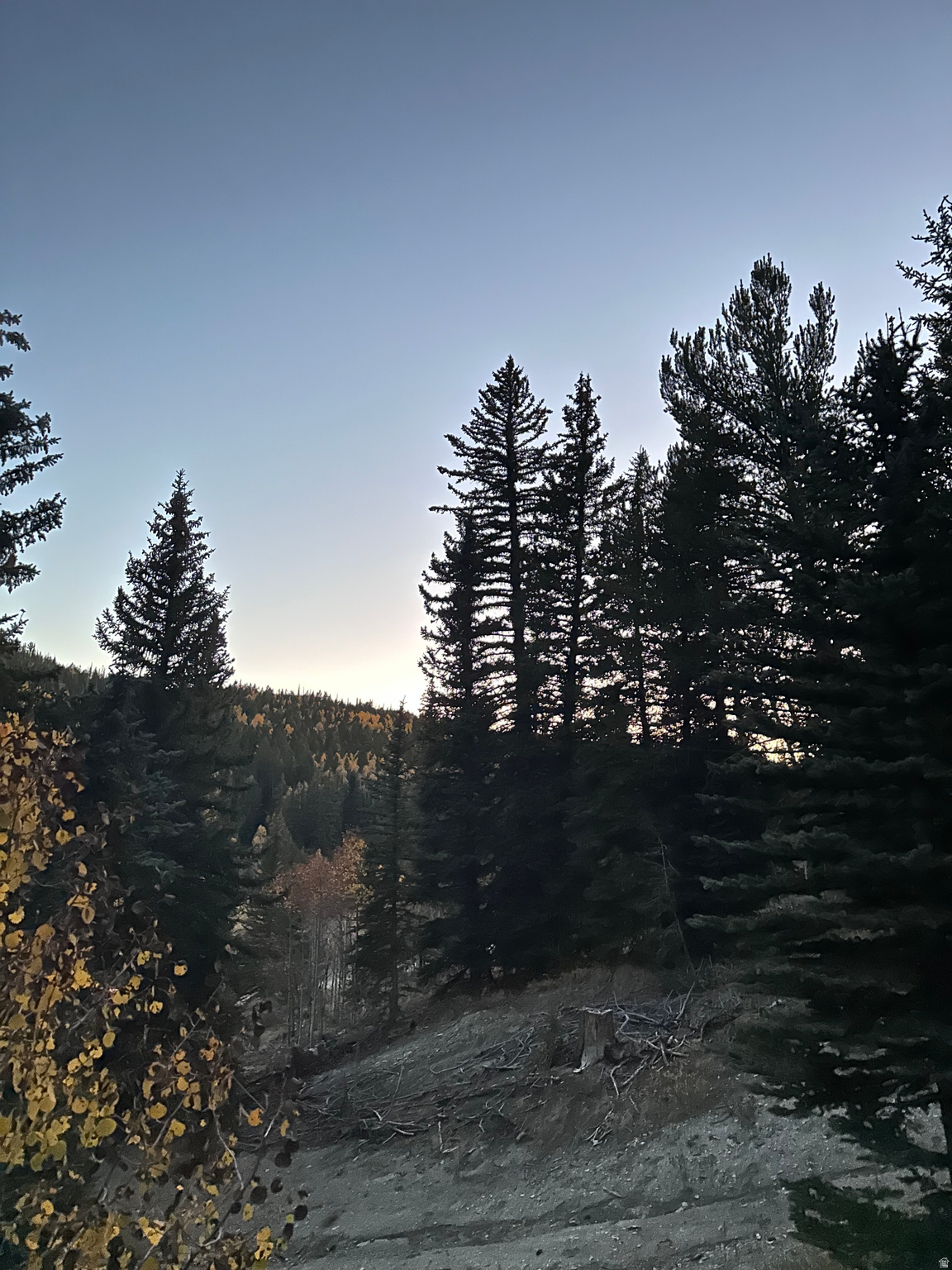ARGYLE CANYON - Residential