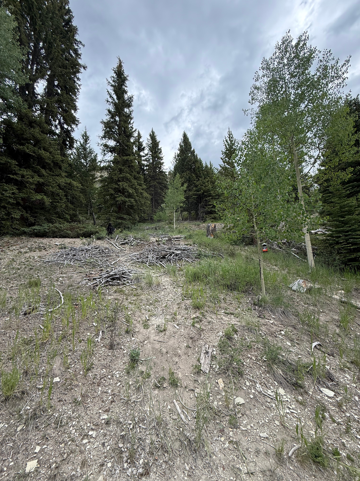 ARGYLE CANYON - Residential