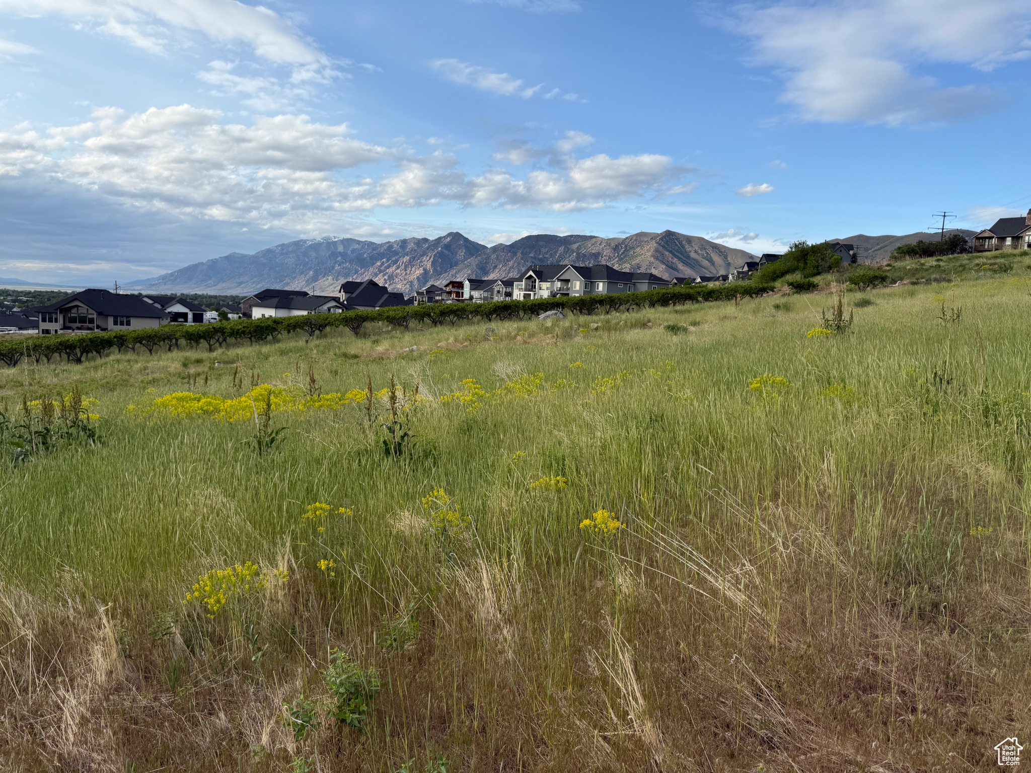 MOUNT PLEASANT ESTATES - Land