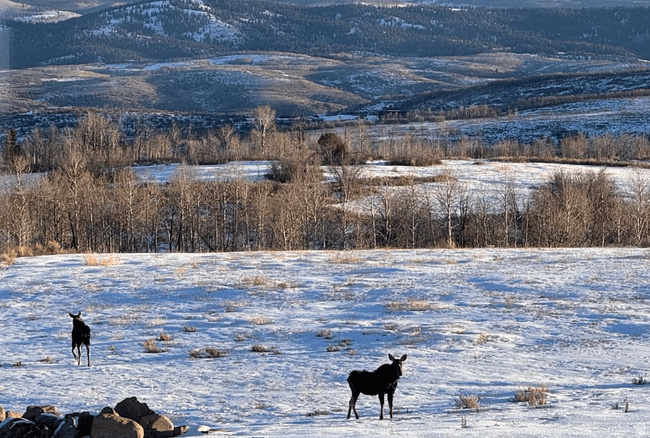 WOLF CREEK - Residential