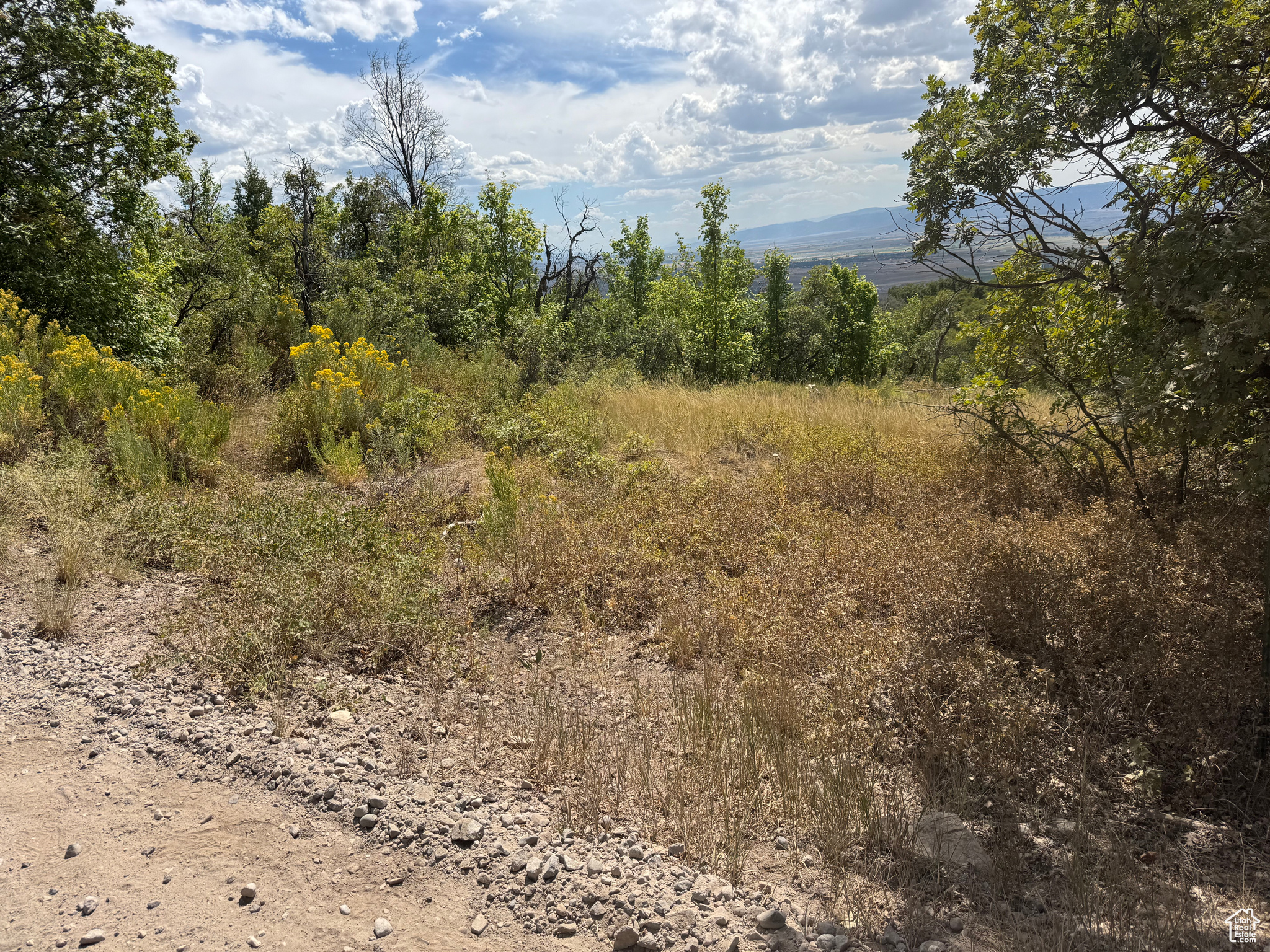 Large, 2.142 Acre View Lot M-33 which is about half way to the top so is more accessible for winter access than the higher lots. The lot is on the West side of Juniper Dr with a natural entrance and slopes down to the West with an awesome view of the Sanpete Valley. It's never been used so it is a blank canvas for your dreams. Bring your trailer or build a cabin and take advantage of all that mountain life has to offer. Amenities include a pool, playground, pickle ball, tennis courts, and a golf course. In the Summer there are BBQ's and musical groups, along with endless recreational activities including hiking, mountain biking, four wheeling, dirt biking, and more plus nearby lakes, fishing, hunting, rock climbing and the Drive-inn theater in MP. Access in the winter is by tracked vehicles approximately Dec-April. The mountain air is cool, clear, and crisp, and the night sky is bright and vivid. Close to grocery stores, pharmacy, restaurants and other amenities. Culinary water is available to haul from Skyline Mountain Resort wells. Power is available with a connection fee. Buyer to verify all information.