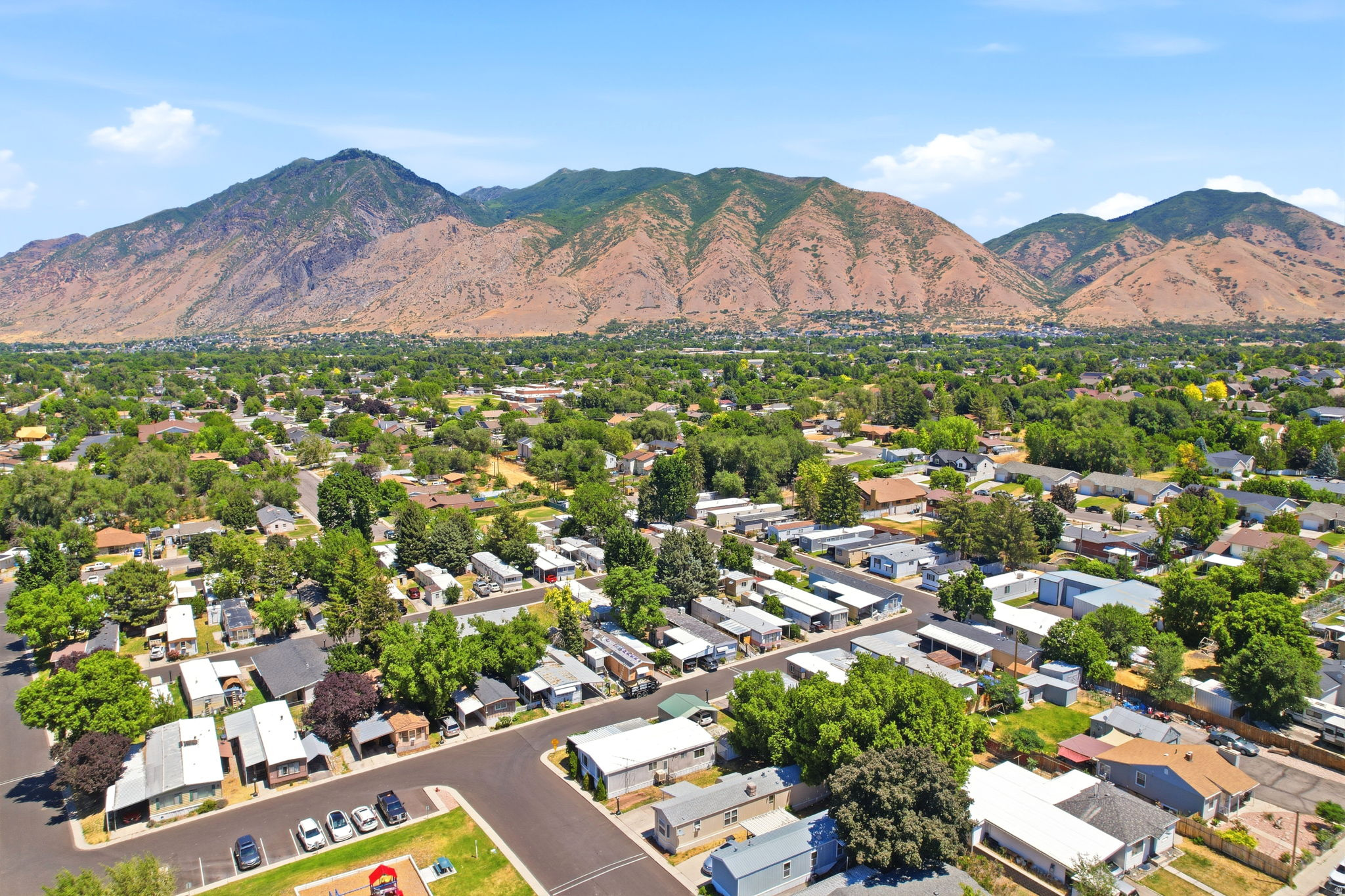 SOUTH SPRINGVILLE TERRACE - Residential