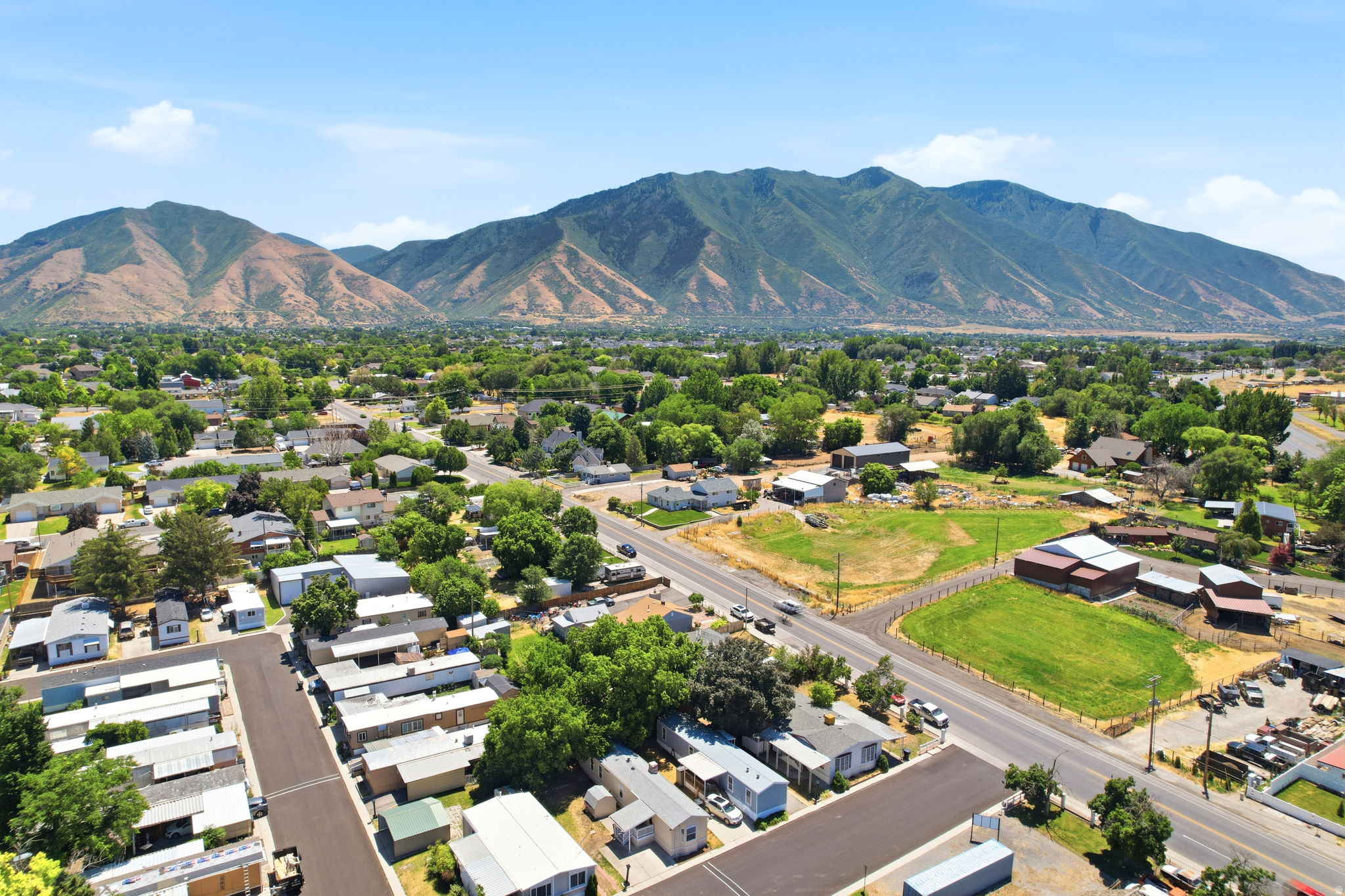 SOUTH SPRINGVILLE TERRACE - Residential