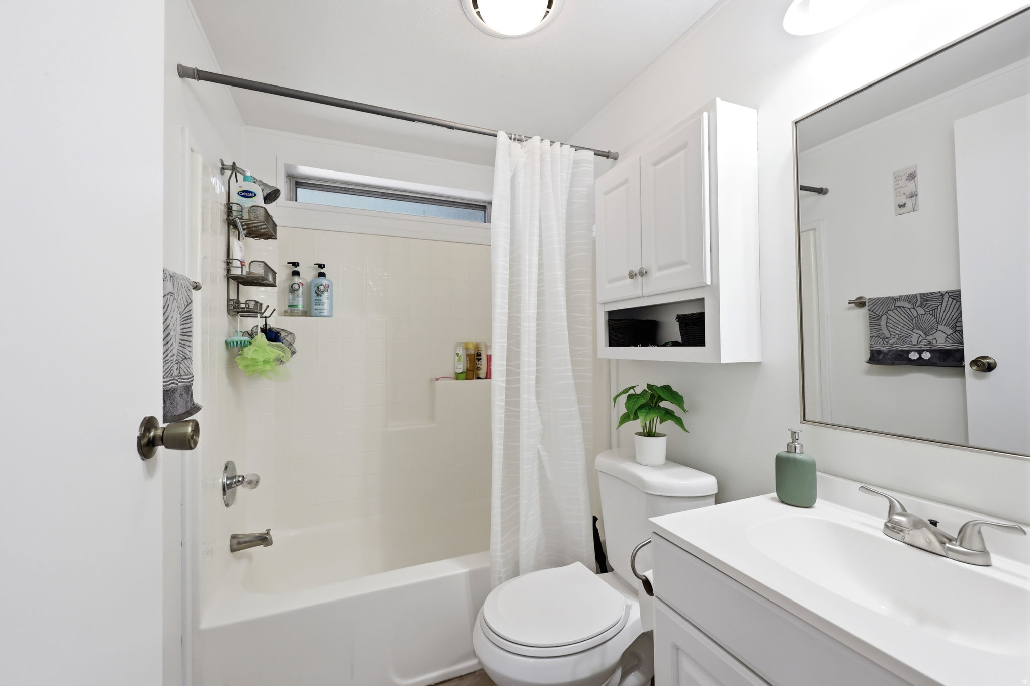 SOUTH SPRINGVILLE TERRACE - Residential